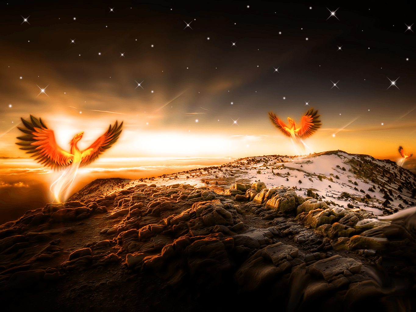  on ave fenix wallpapers