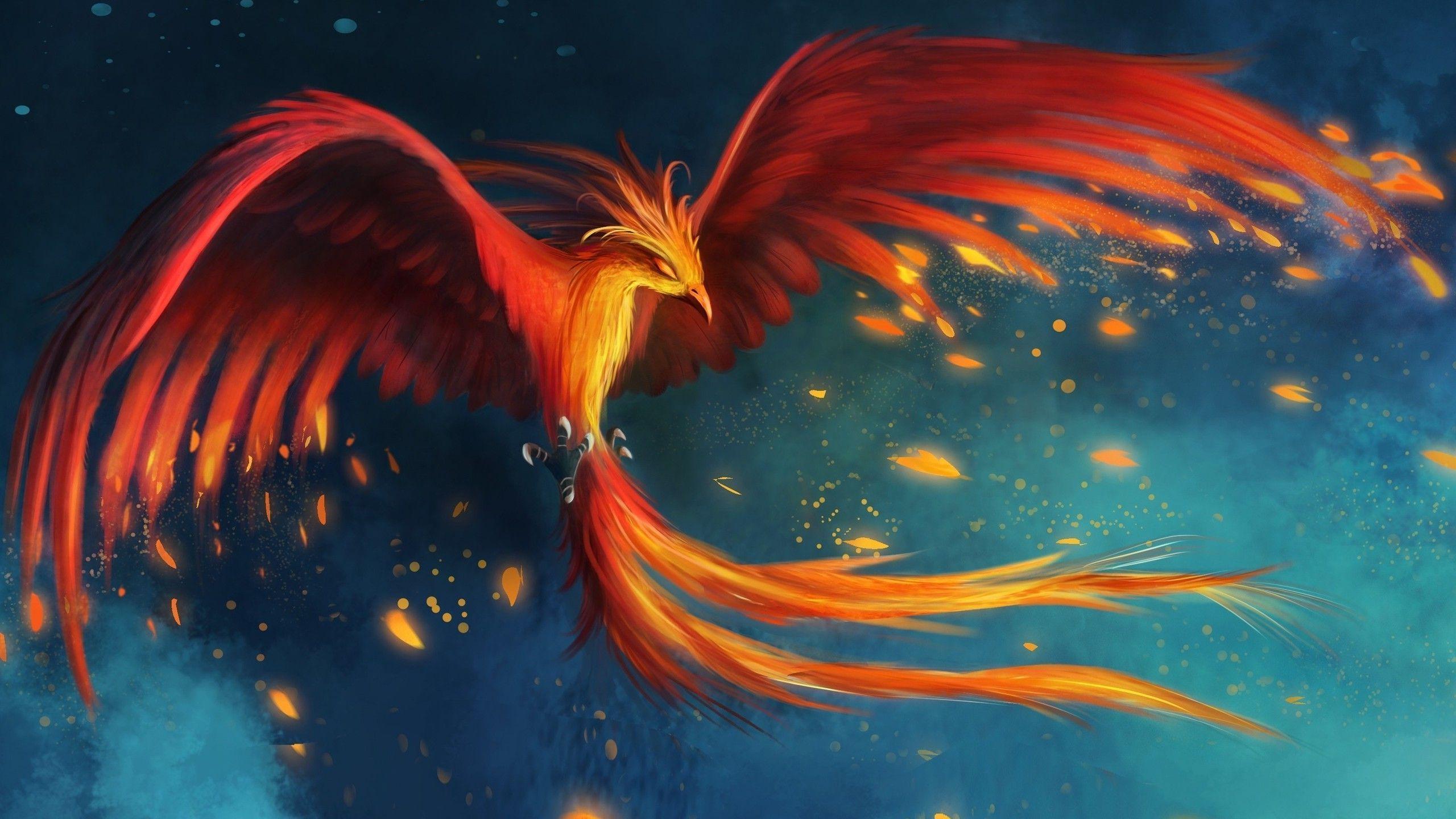  on ave fenix wallpapers