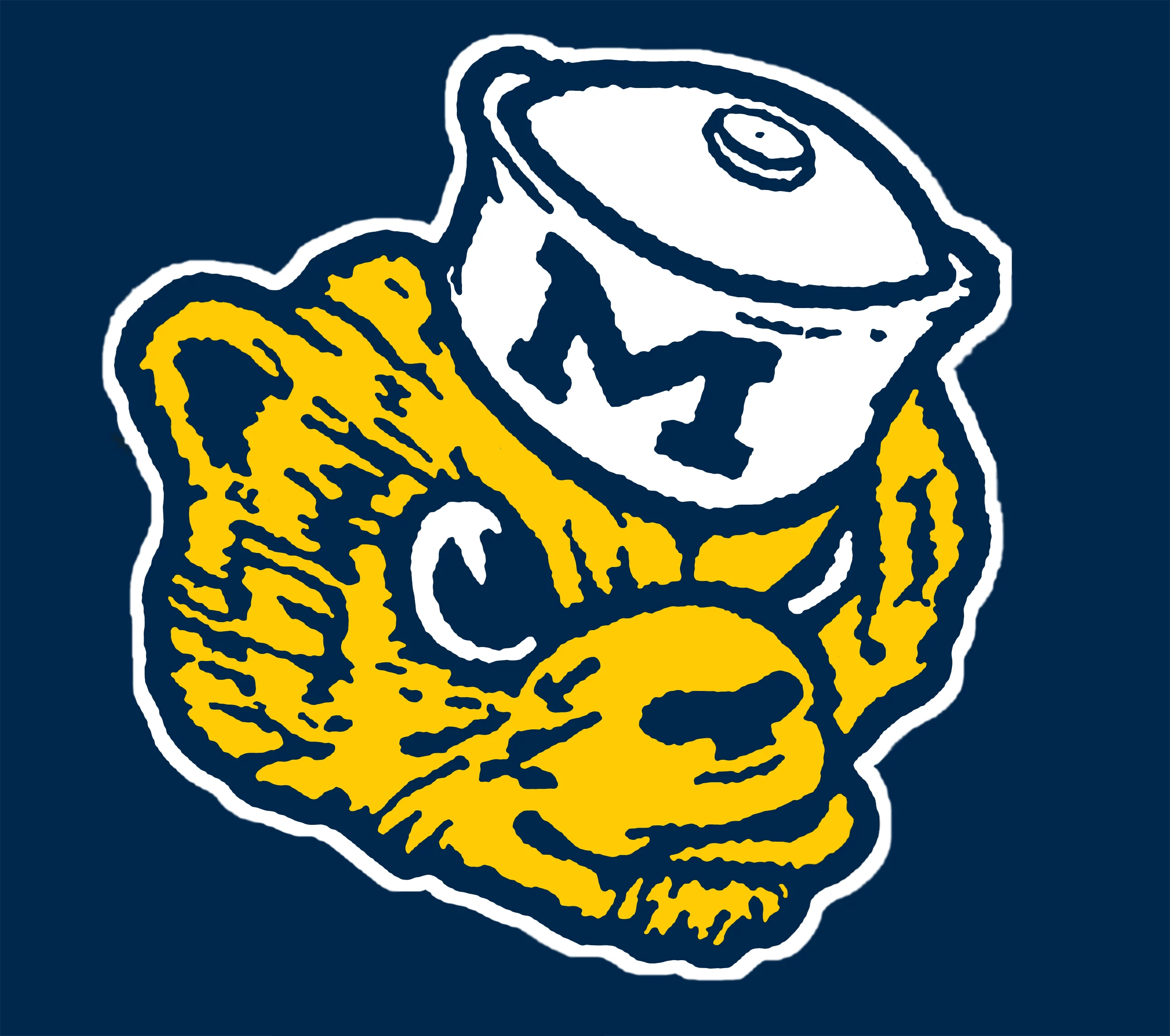Michigan wolverines wallpapers