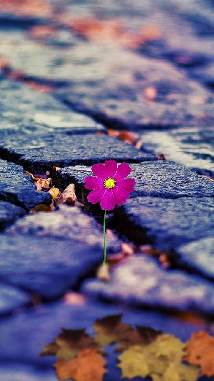 Gratuito immagini Samsung Galaxy J7 Wallpapers Wallpaper Cave aggiornato saluti