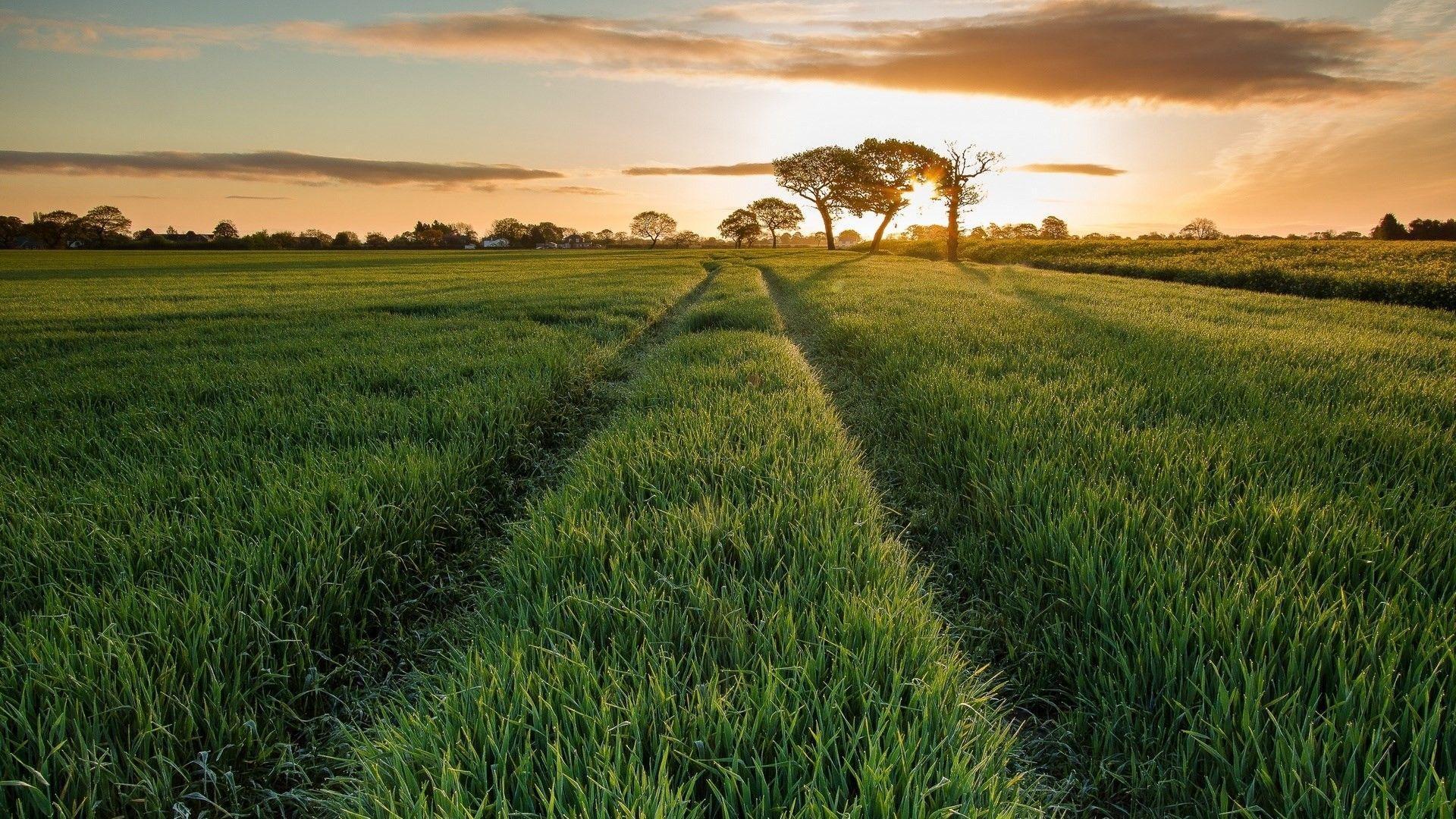 Bangladesh Wallpapers - Wallpaper Cave