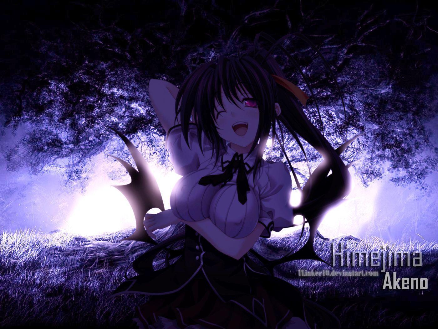 akeno himejima wallpapers wallpaper cave on akeno himejima wallpapers