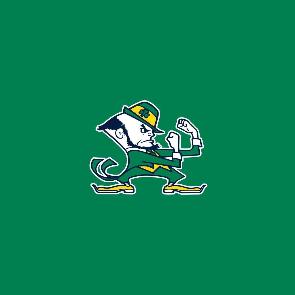 notre dame fighting irish wallpapers wallpaper cave on notre dame fighting irish football wallpapers
