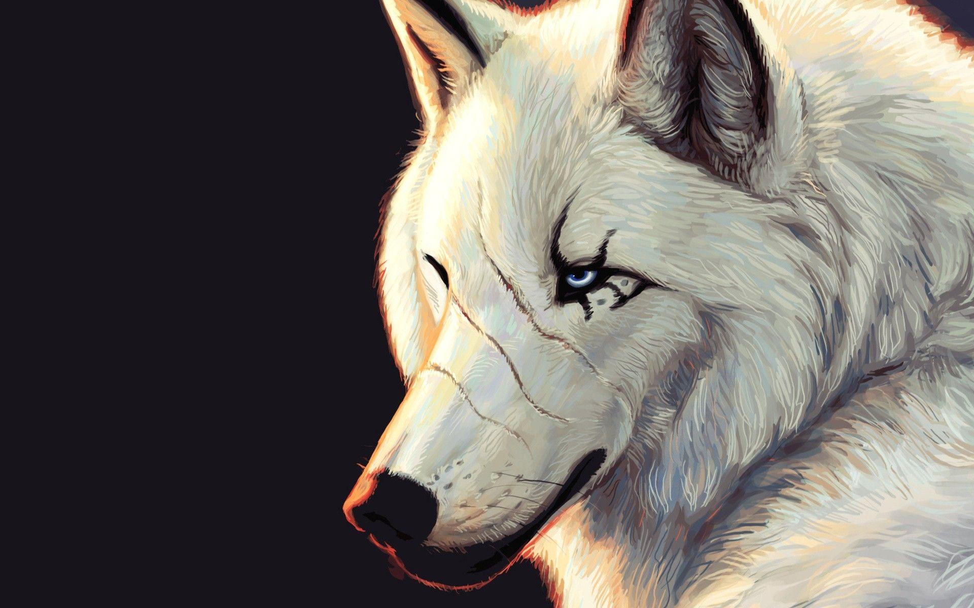 Fantasy,entertainment,abstract,game,wolf,picture,show,house,fantastic,tv show,game of thrones,medieval,got,stark,a song of ice and fire,direwolf,house stark . Dire Wolf Android Wallpapers Wallpaper Cave