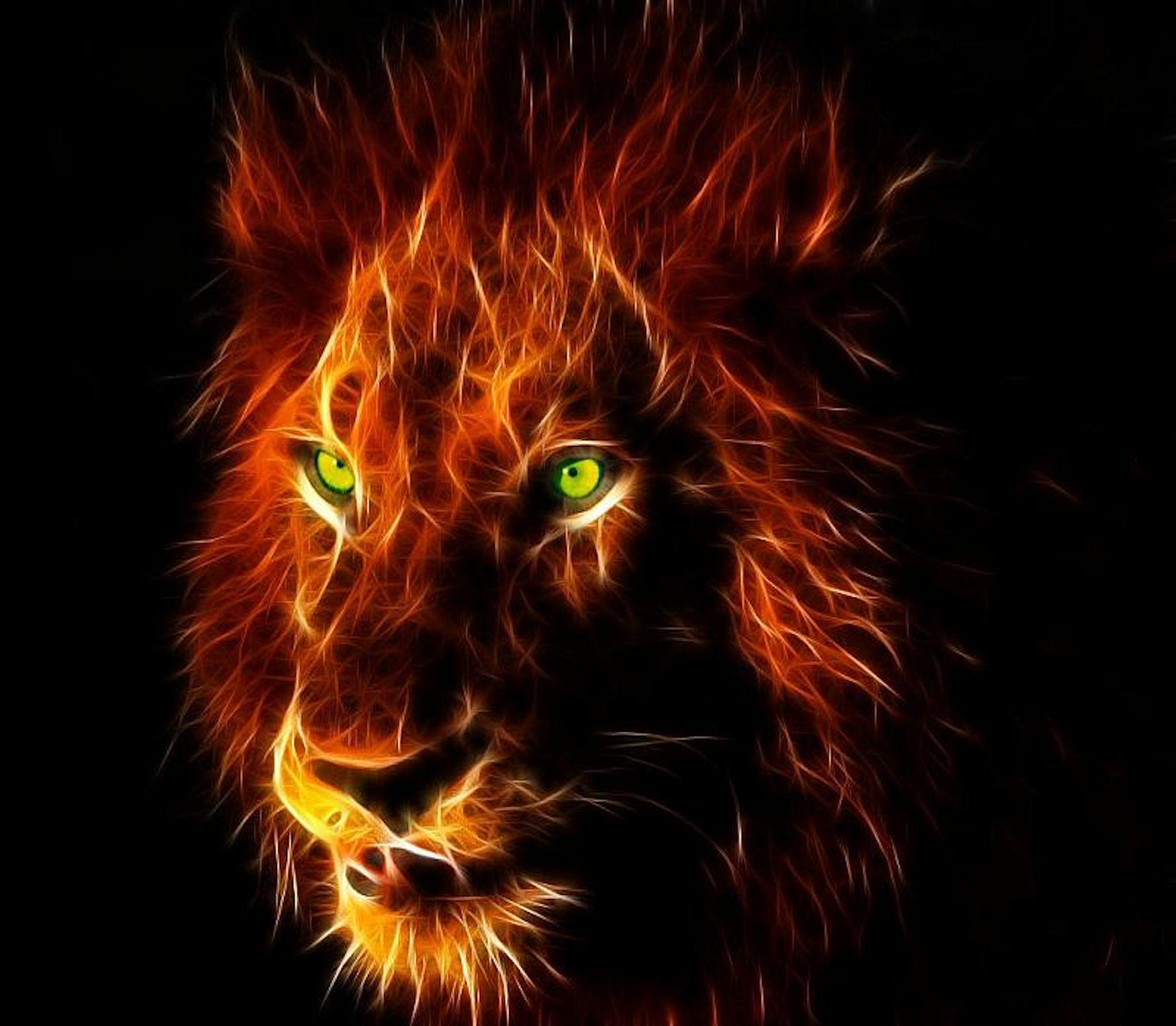 Fire lion wallpapers