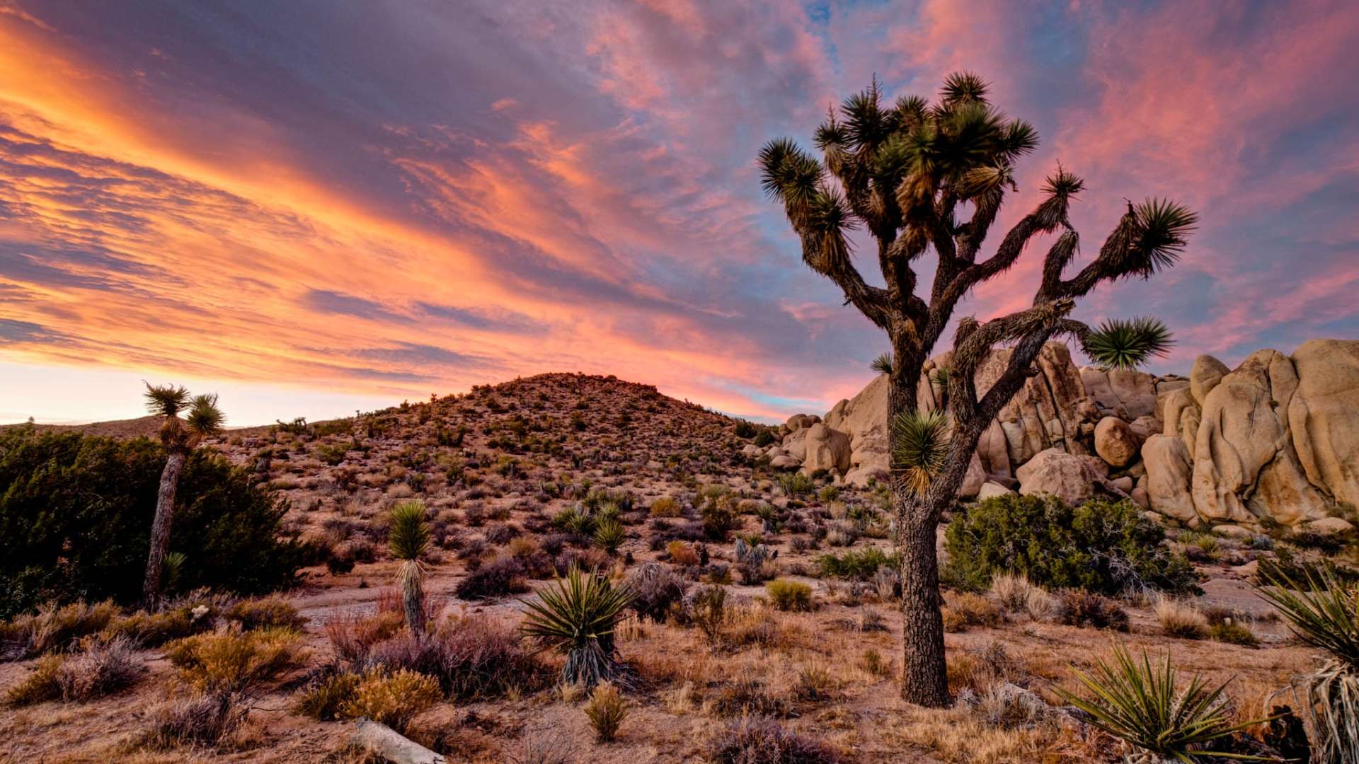 Joshua Tree National Park Wallpapers - Wallpaper Cave