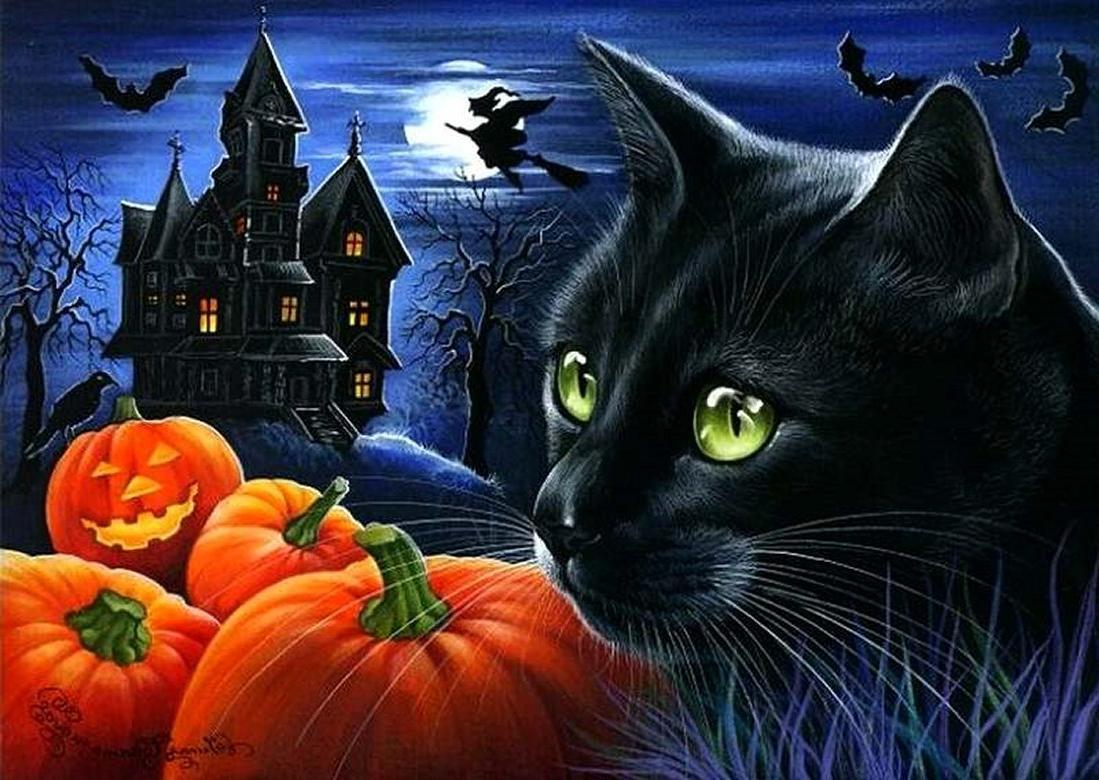 halloween black cats wallpapers wallpaper cave on halloween kitty pumpkin wallpapers