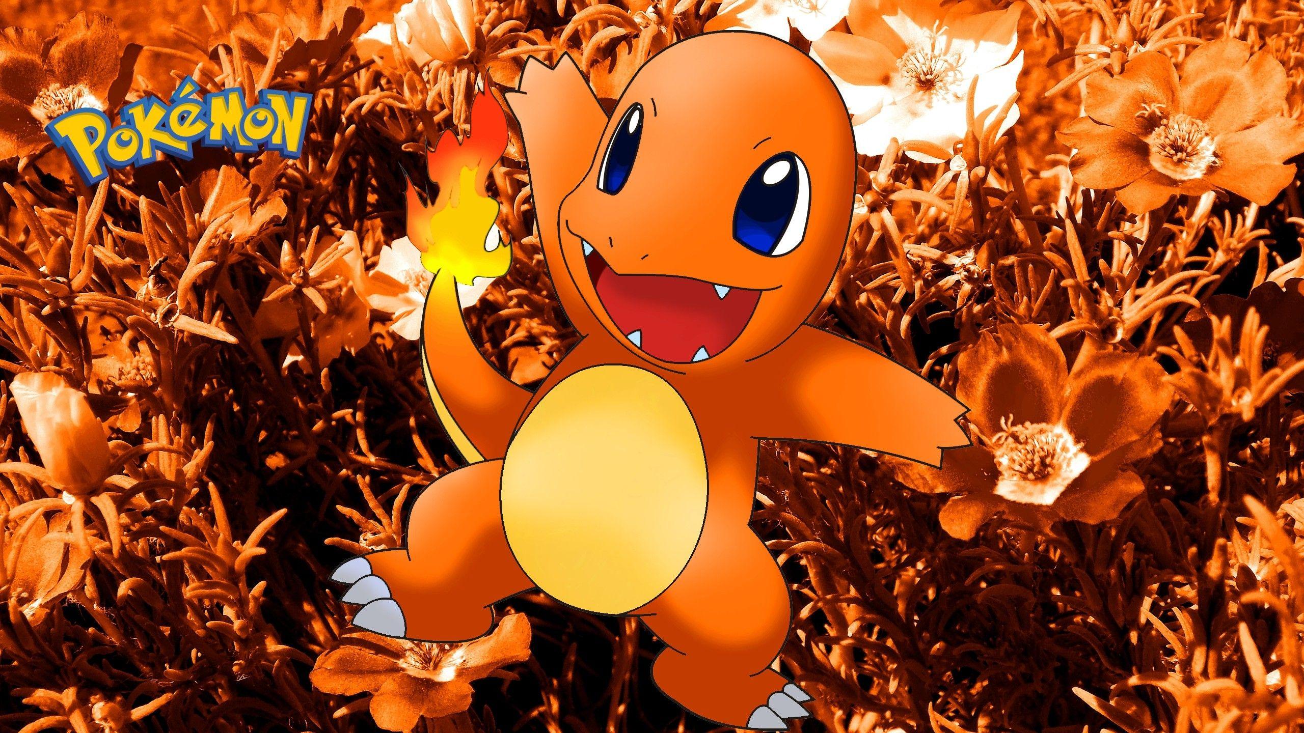 charmander hd wallpapers wallpaper cave on charmander hd wallpapers
