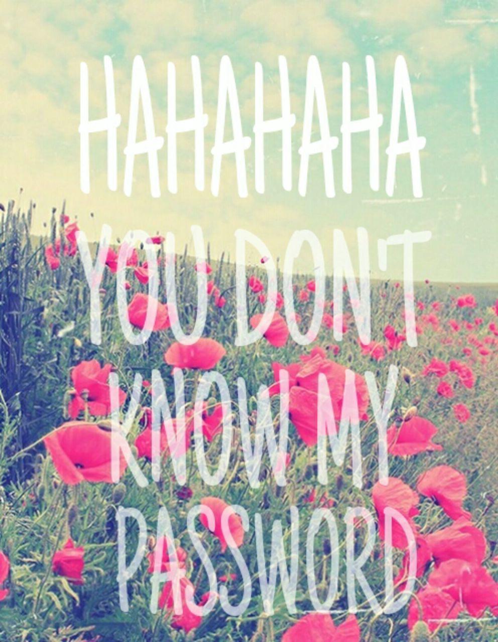 Hahaha You Don T Know My Password Wallpapers Wallpaper Cave