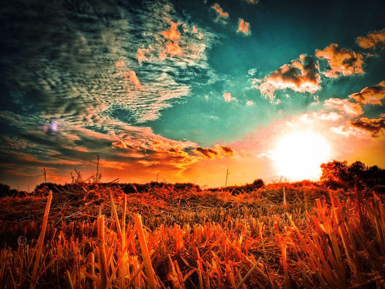 Animated pokemon wallpaper gifs | tenorwith tenor, maker of gif keyboard, add popular animated pokemon wallpaper animated gifs to your conversations.tenor.com/ . CB Edits Wallpapers - Wallpaper Cave