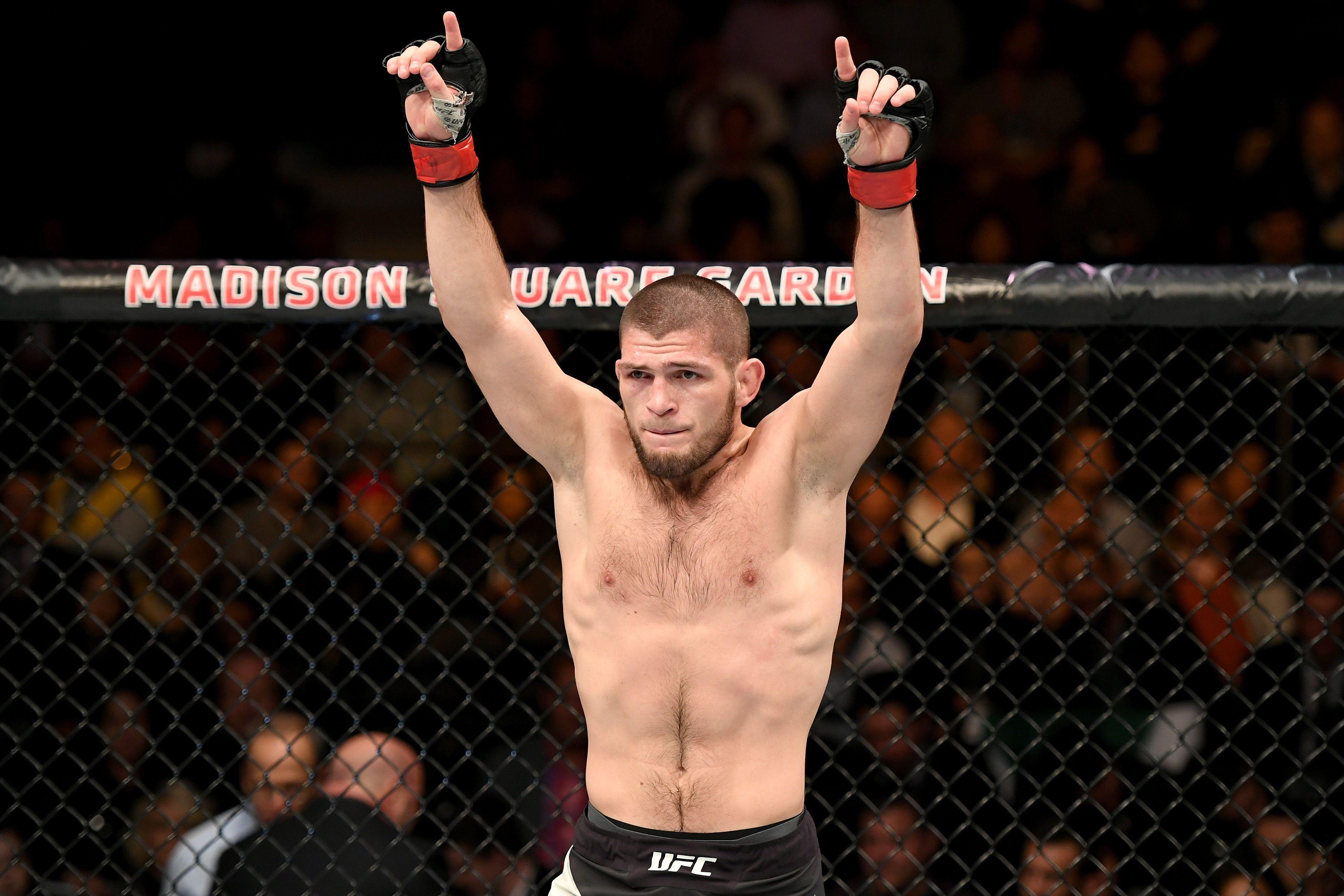 khabib nurmagomedov wallpapers wallpaper cave on khabib nurmagomedov wallpapers