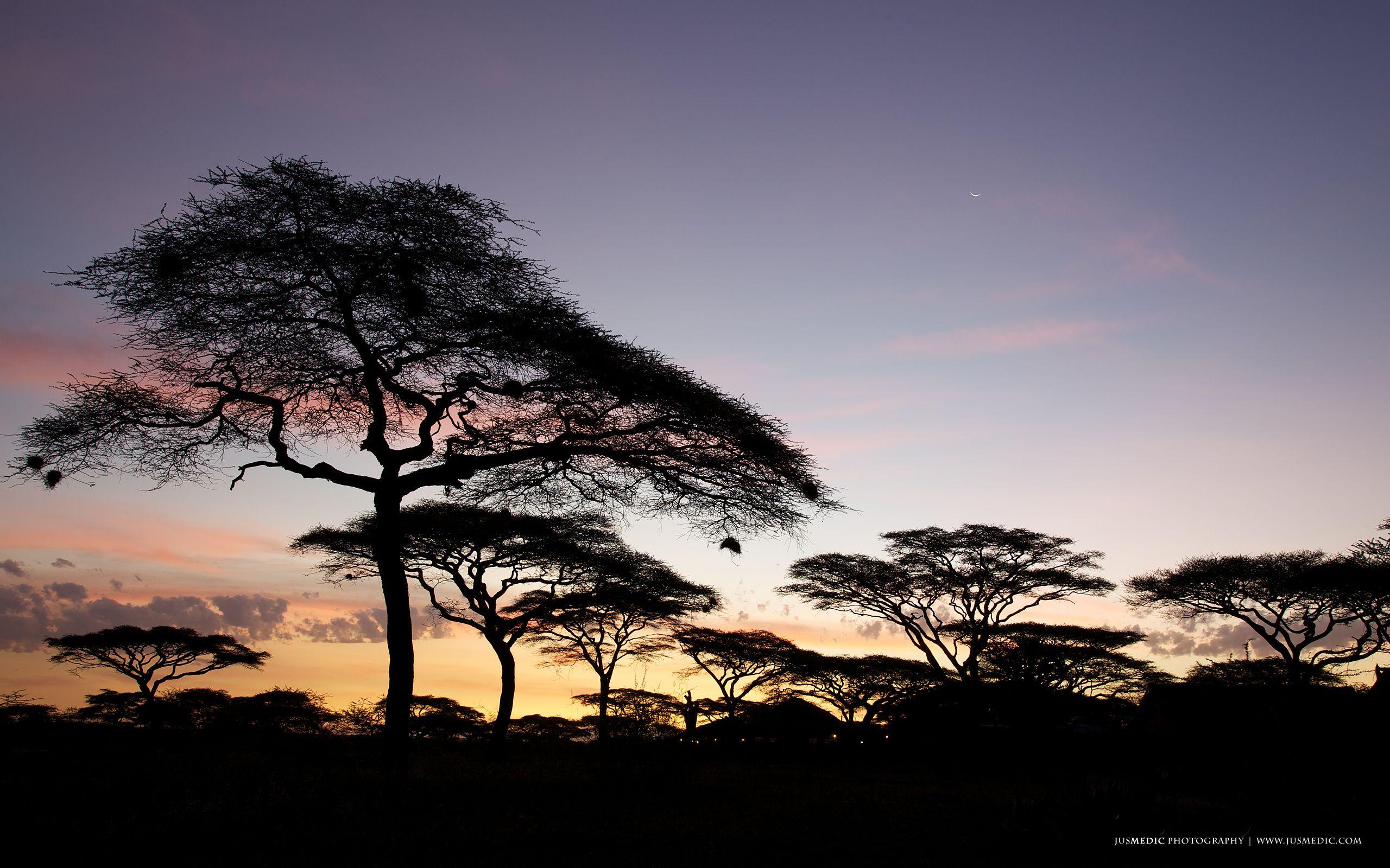 Serengeti national park wallpapers