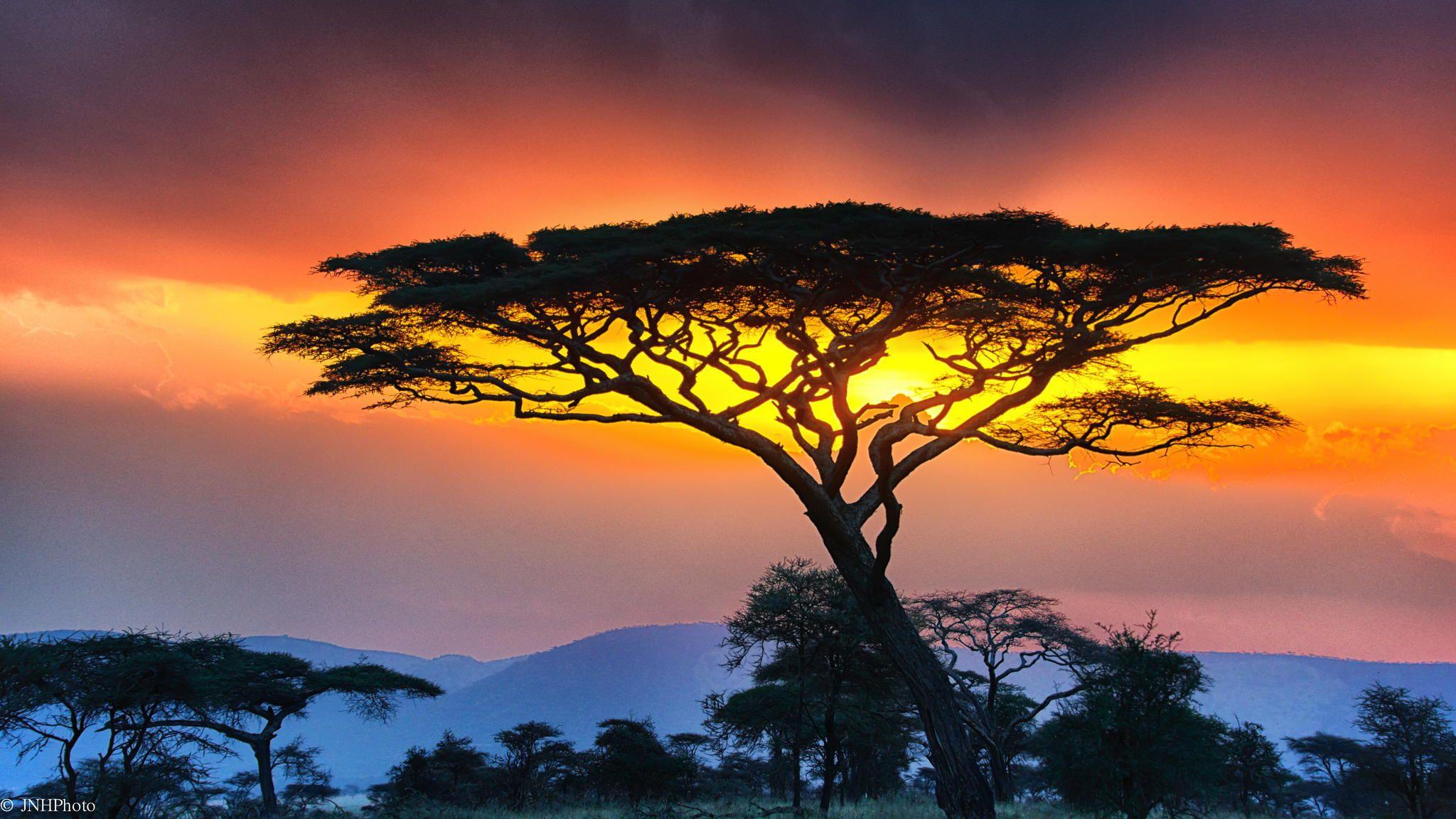 Serengeti national park wallpapers