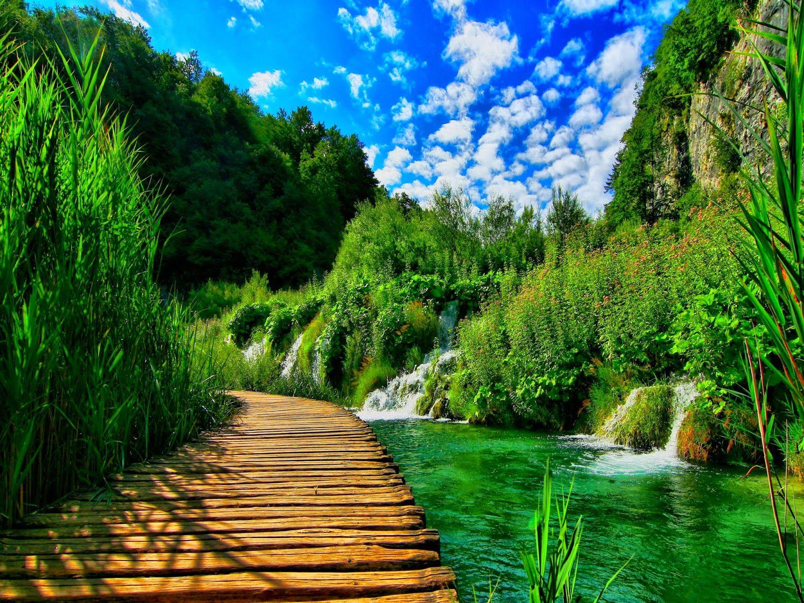 Beautiful Wallpapers Of Nature For Mobile Wallpaper Cave