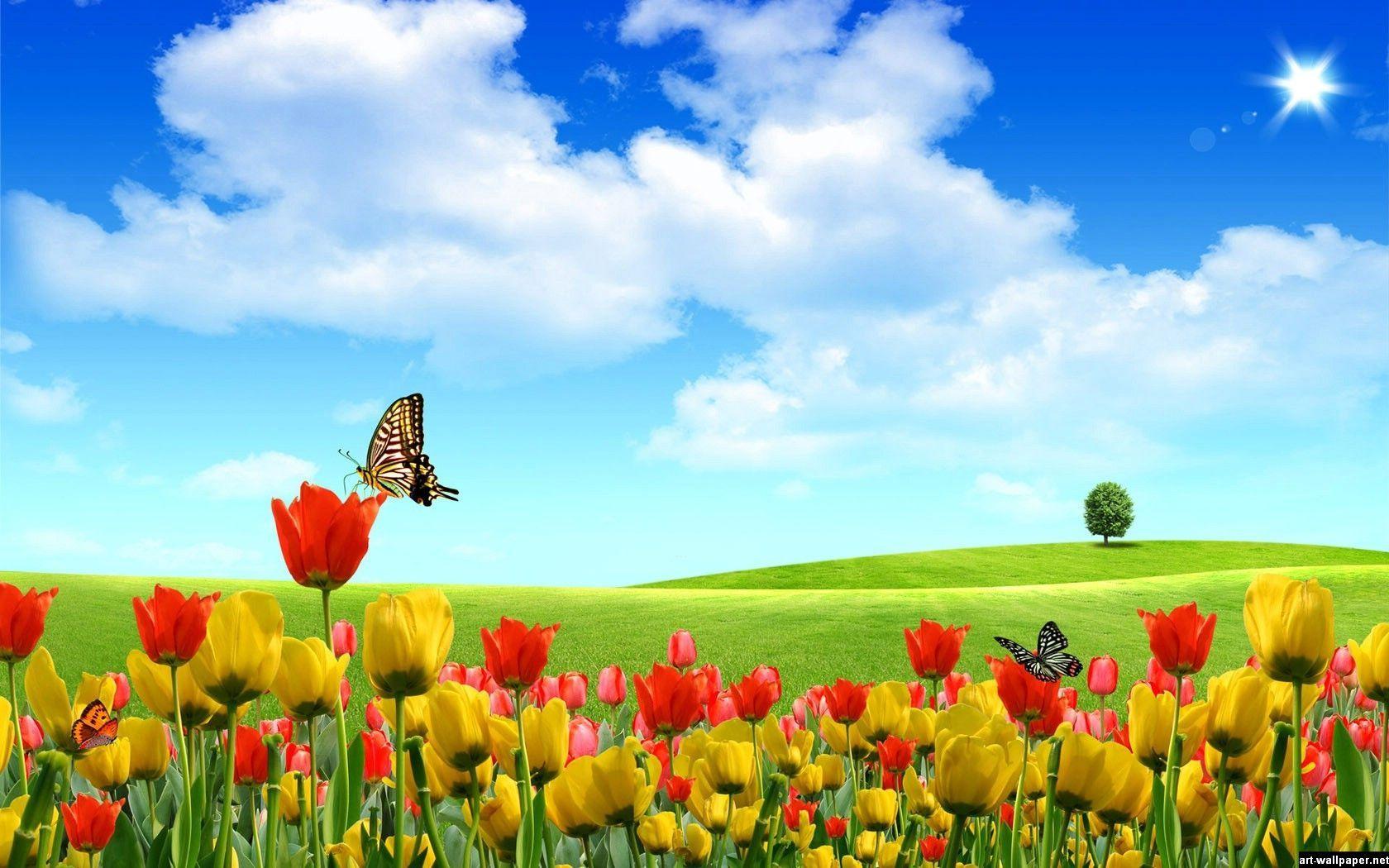 Full Hd Wallpapers 1080p Widescreen Nature Desktop Dwiky Shop Powered By Doodlekit