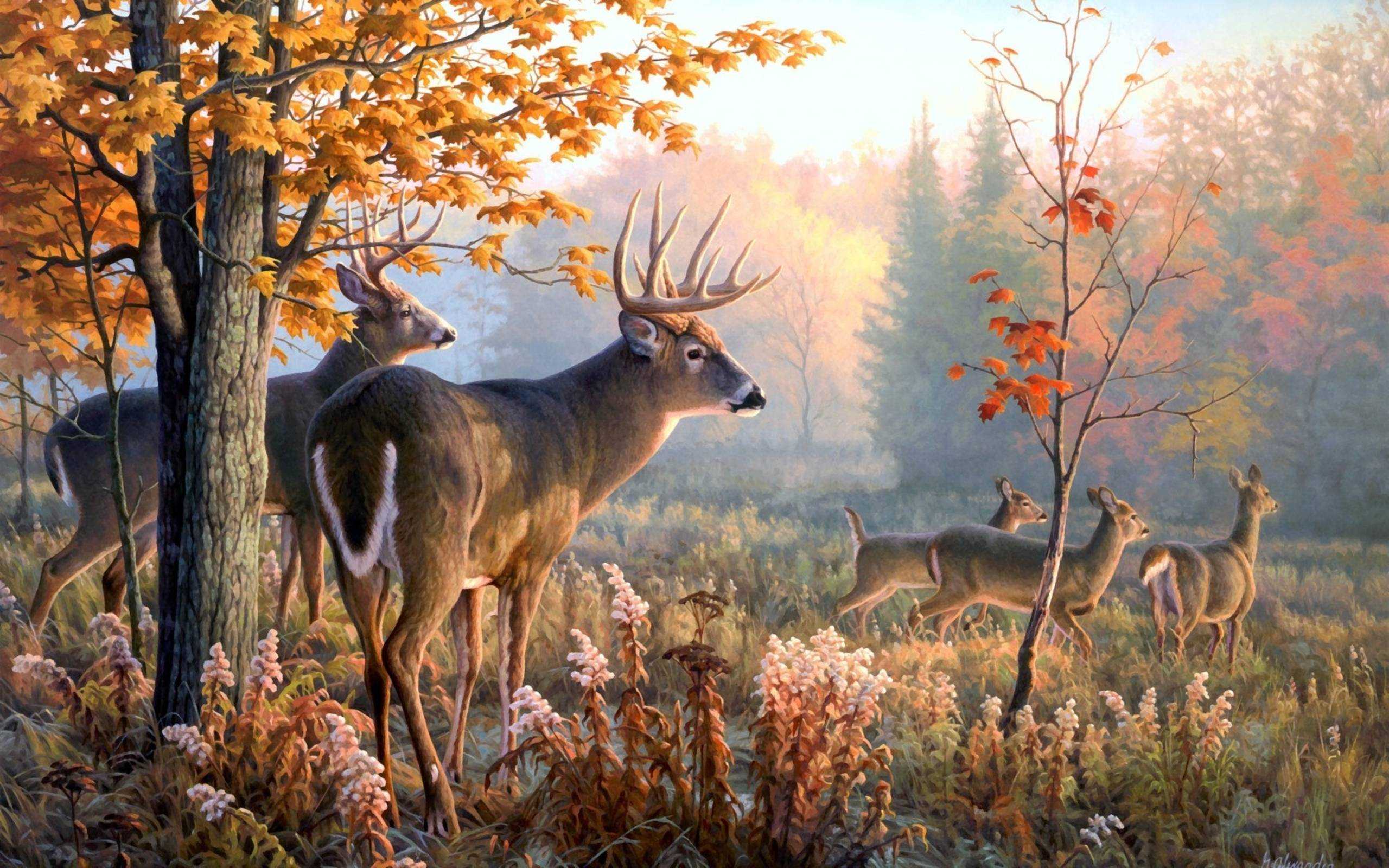 See the handpicked hunting wallpaper hd images and share with your frends and social sites. Hunting Wallpapers Wallpaper Cave