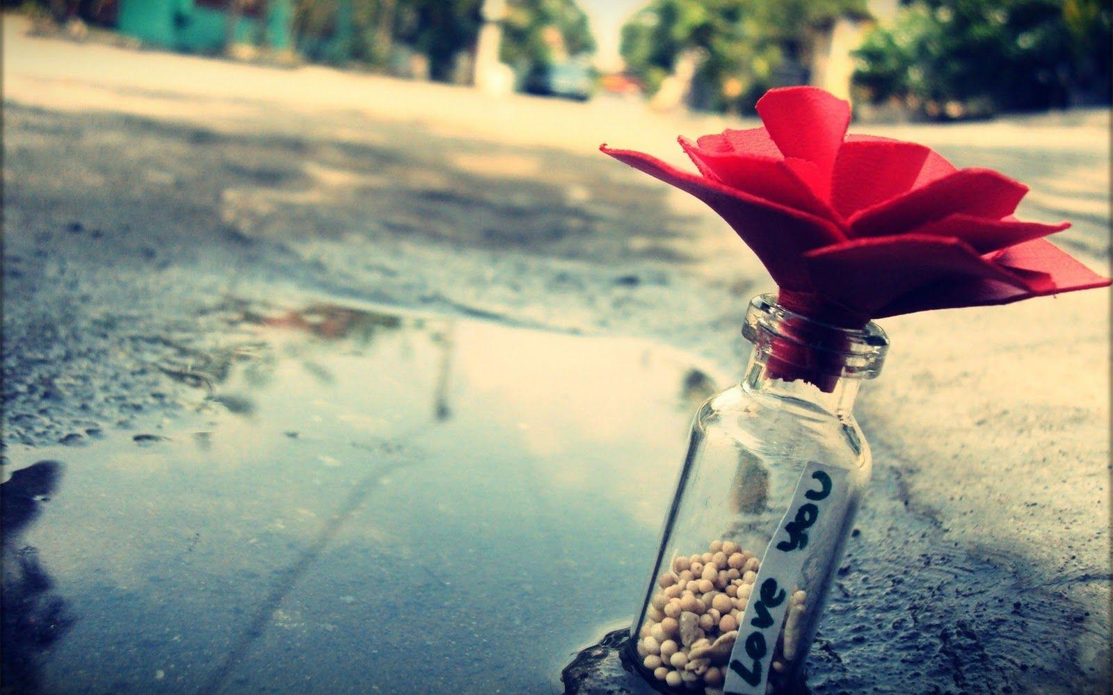 Unduh Gratis Gambar Heart HD Gratis Gratis Wallpaper Background Image 1920x1200 Id 362065 Terupdate by Lampung Hits