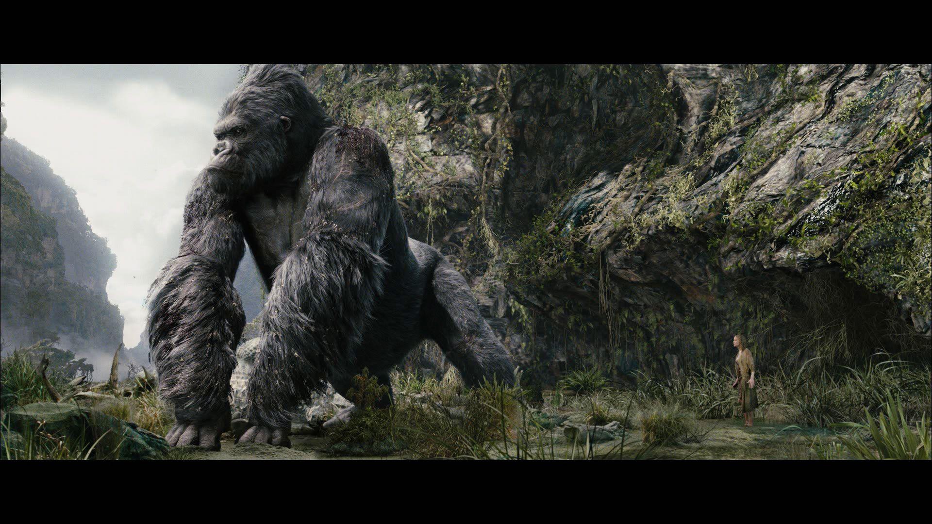 king kong 2005 hd wallpapers wallpaper cave on king kong 2005 hd wallpapers