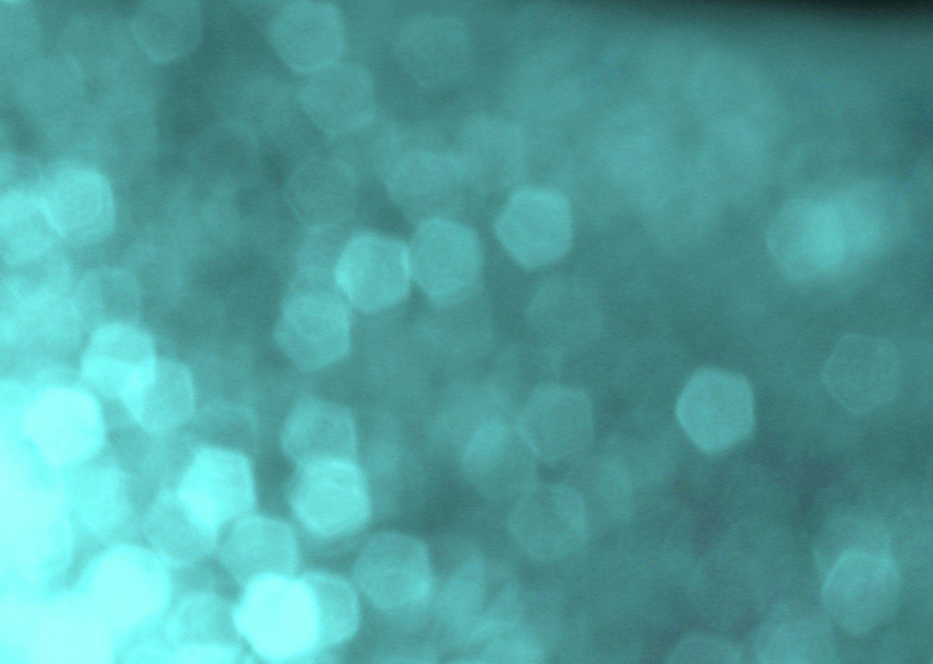 light teal backgrounds wallpaper cave on light teal background