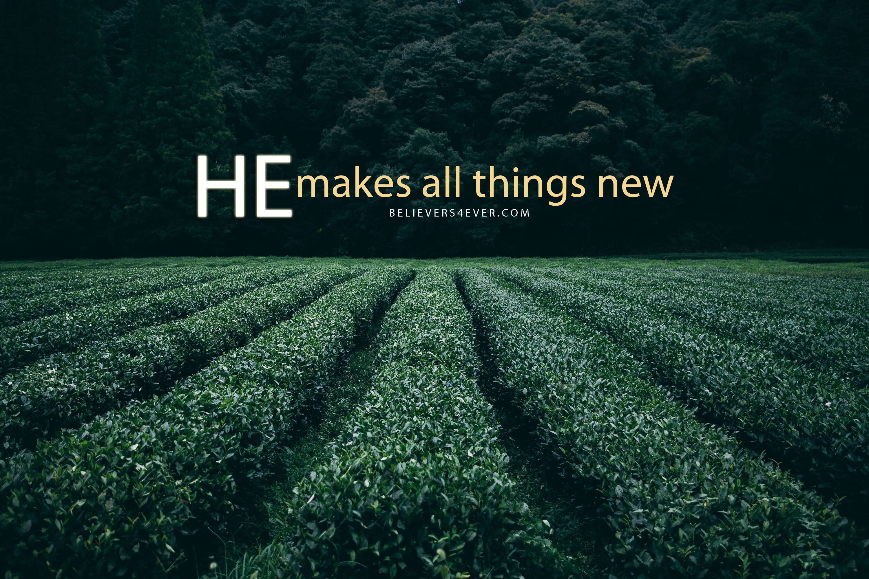 Bible verse desktop hd wallpapers