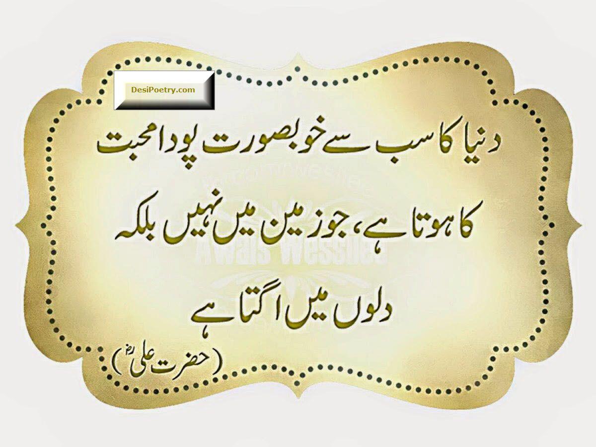 Islamic Sher Shayari Wallpapers In Hindi Wallpaper Cave