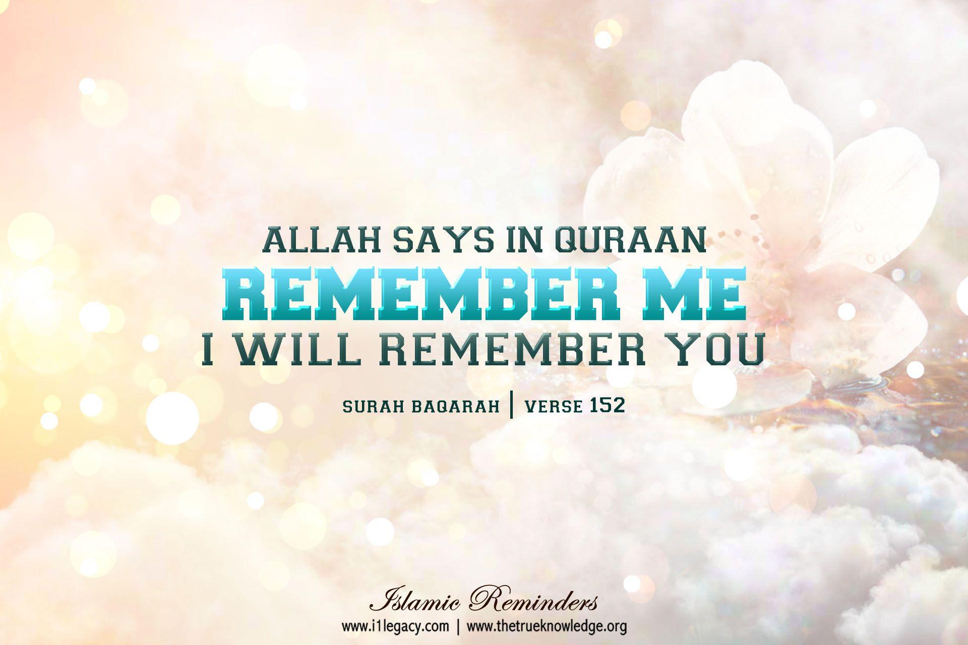 Wallpapers Islamic Quotes Wallpaper Cave