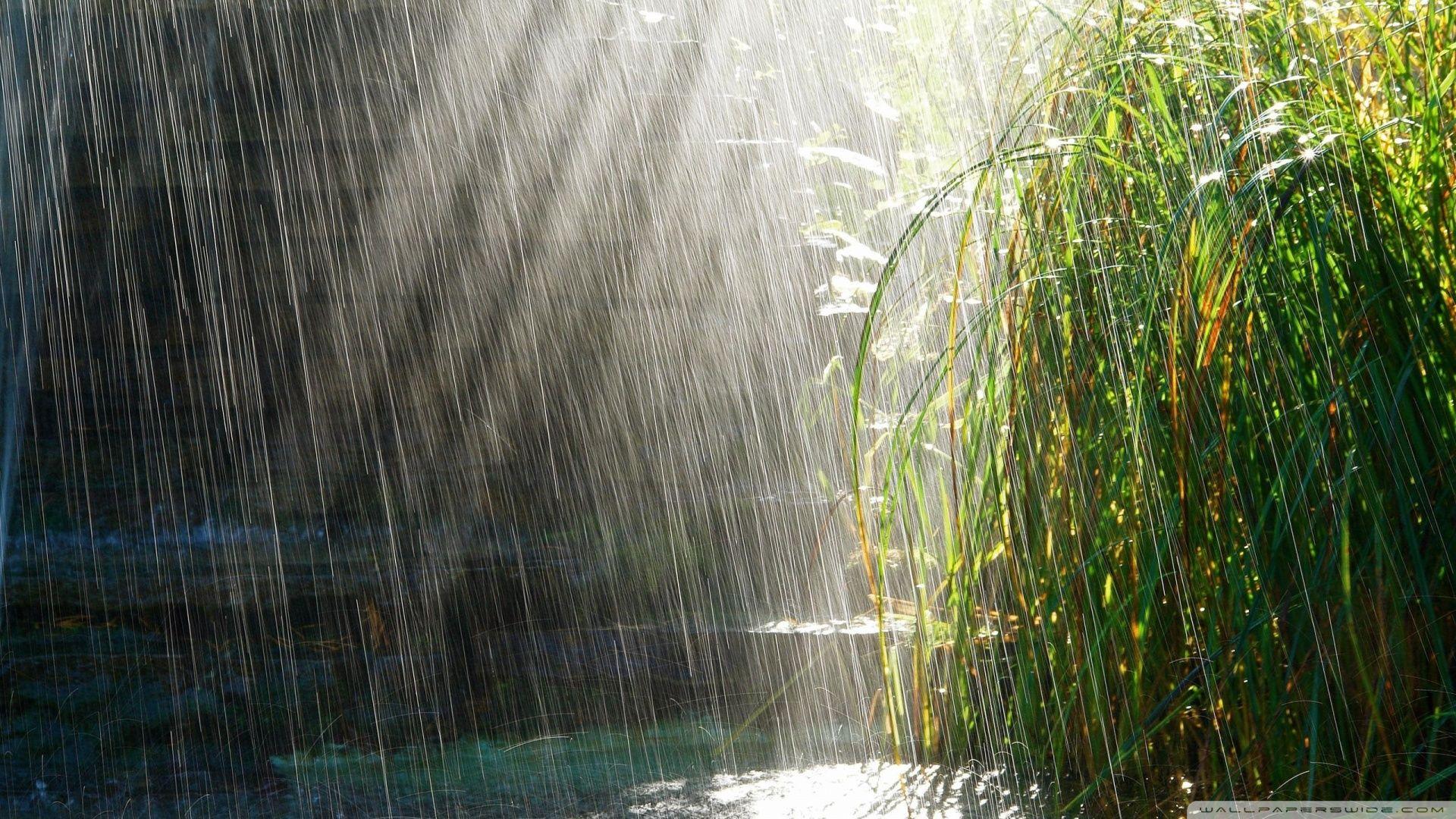 There are 57 rain wallpapers published on this page. Rain Full Hd Wallpapers Wallpaper Cave