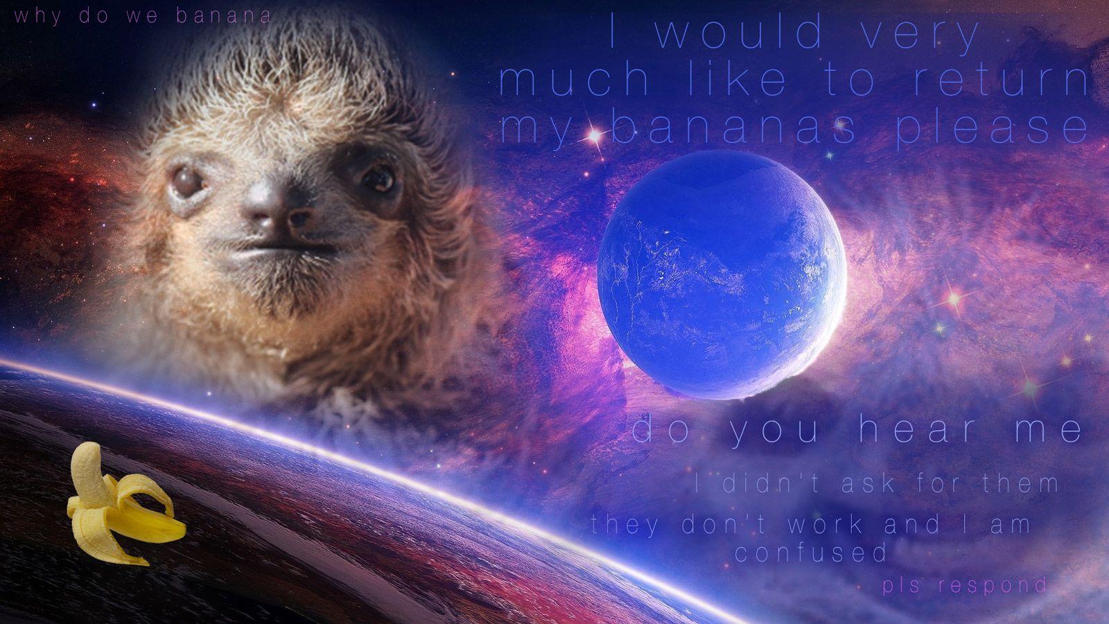 sloth in space wallpapers wallpaper cave on sloth in space wallpaper