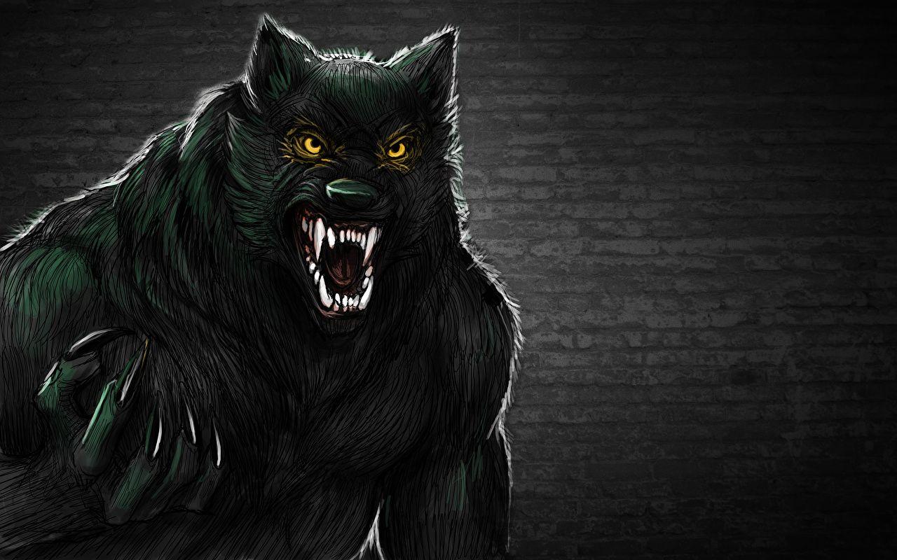 hombres lobo wallpapers wallpaper cave on hombres lobo wallpaper