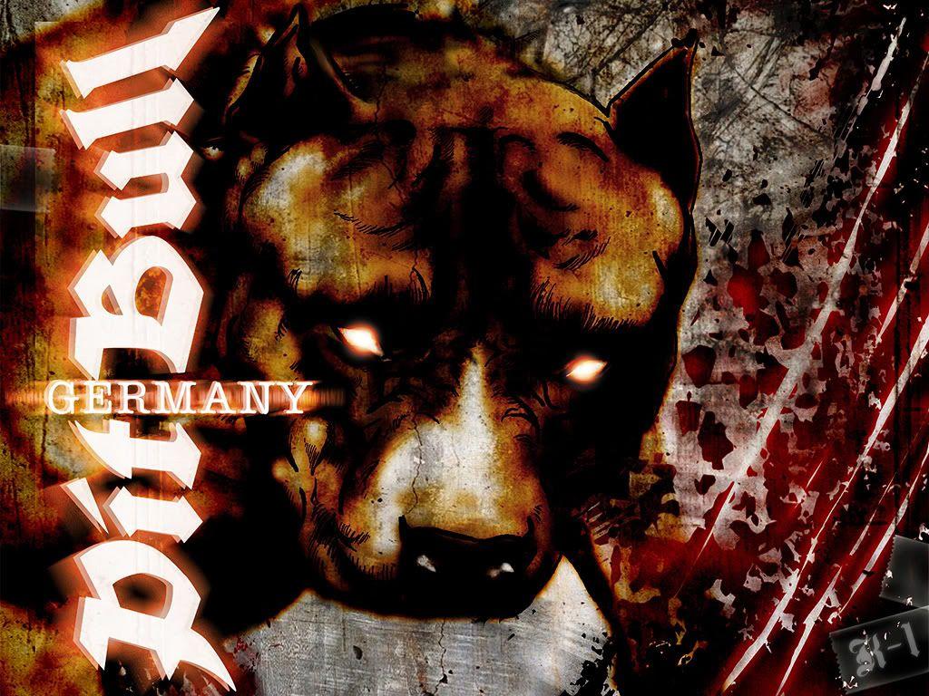 pitbull wallpapers logos wallpaper cave on pitbull logo wallpaper