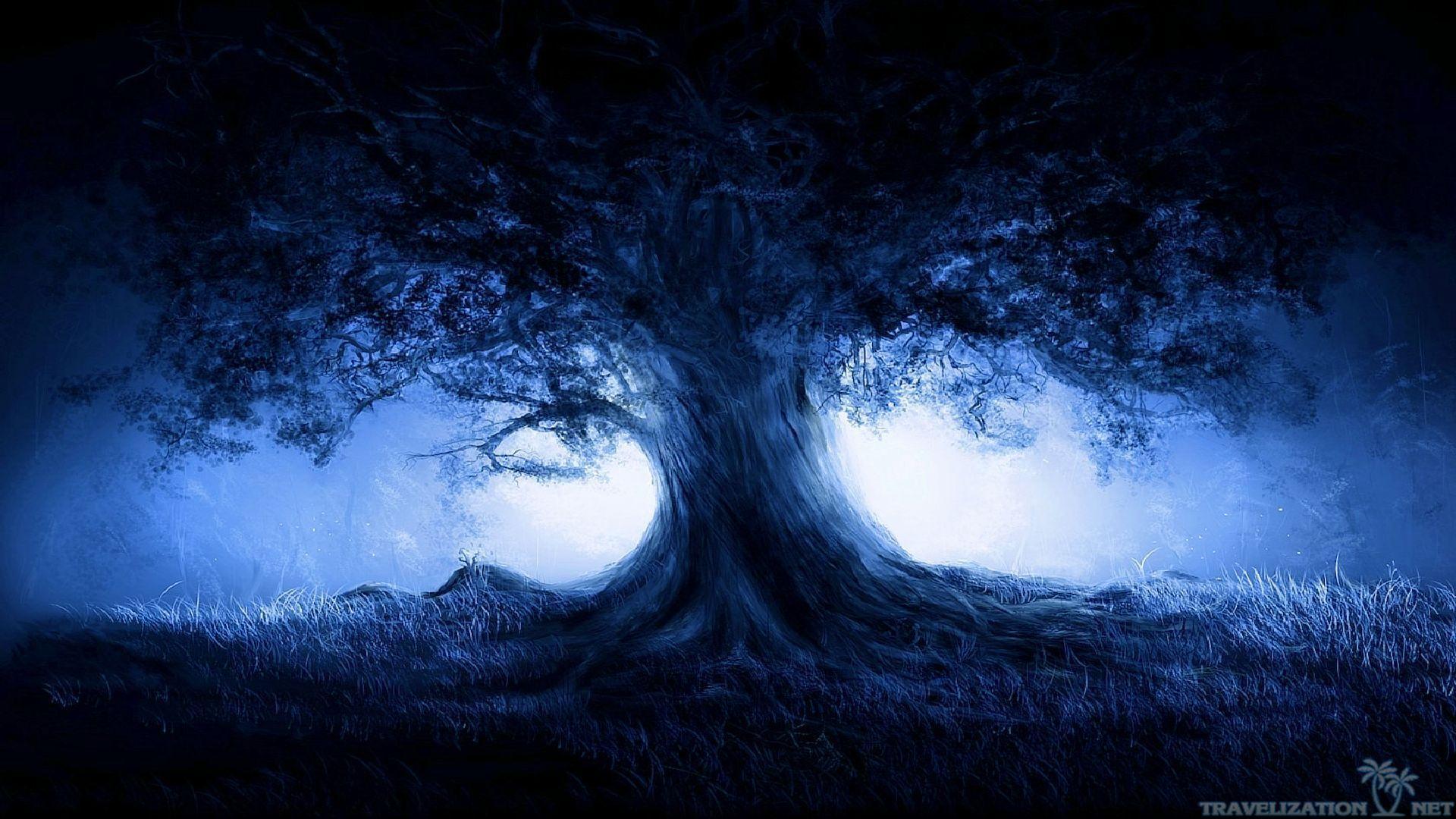 Beautiful dark backgrounds