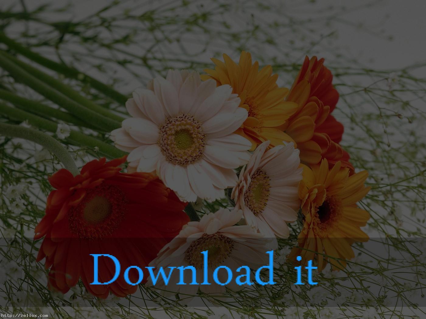 Unduh Gratis Gambar Https Encrypted Tbn0 Gstatic Gambar Gratis Images Q Tbn 3aand9gcrosb6osenmxi 1a7kl0gqw6idxcu Xfb2ssm76dy5zuglse3u Terkeren by Lampung Hits