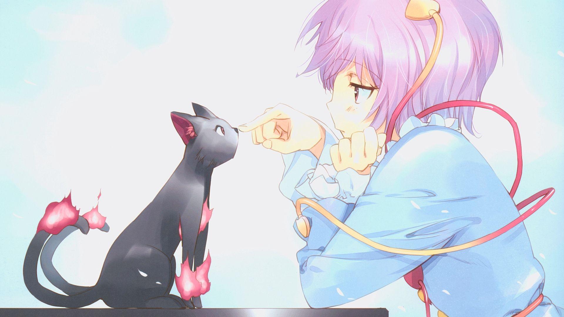 Hd wallpapers and background images Cat Anime Wallpapers Wallpaper Cave