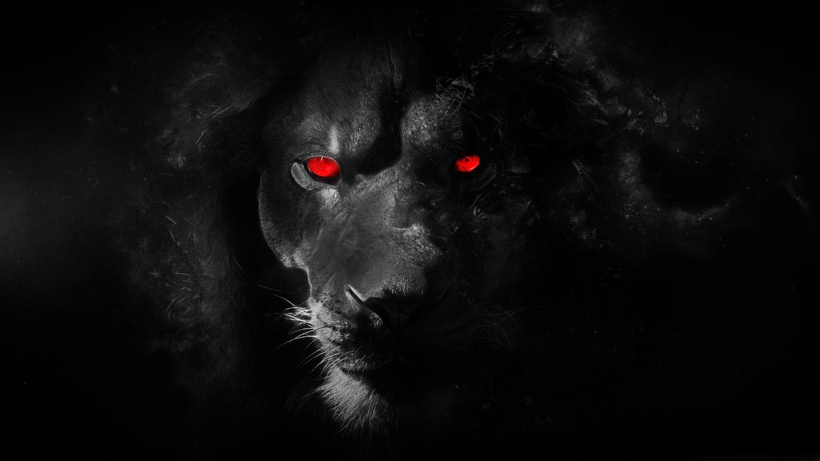 Lion eyes wallpapers