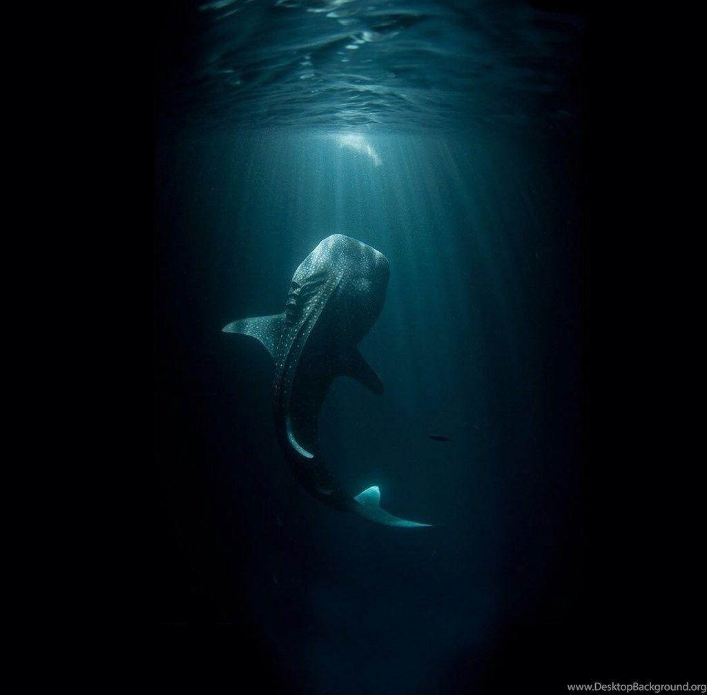 eerie wallpapers wallpaper cave on eerie wallpapers