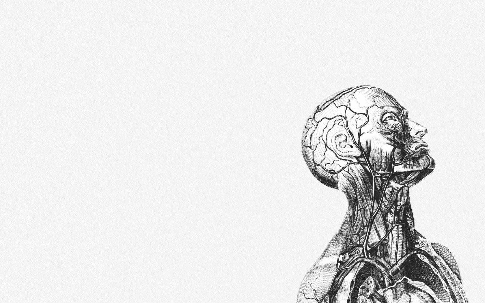 Check out this fantastic collection of anatomy wallpapers, with 50 anatomy background images for your desktop, phone or tablet. Human Anatomy Wallpapers Wallpaper Cave