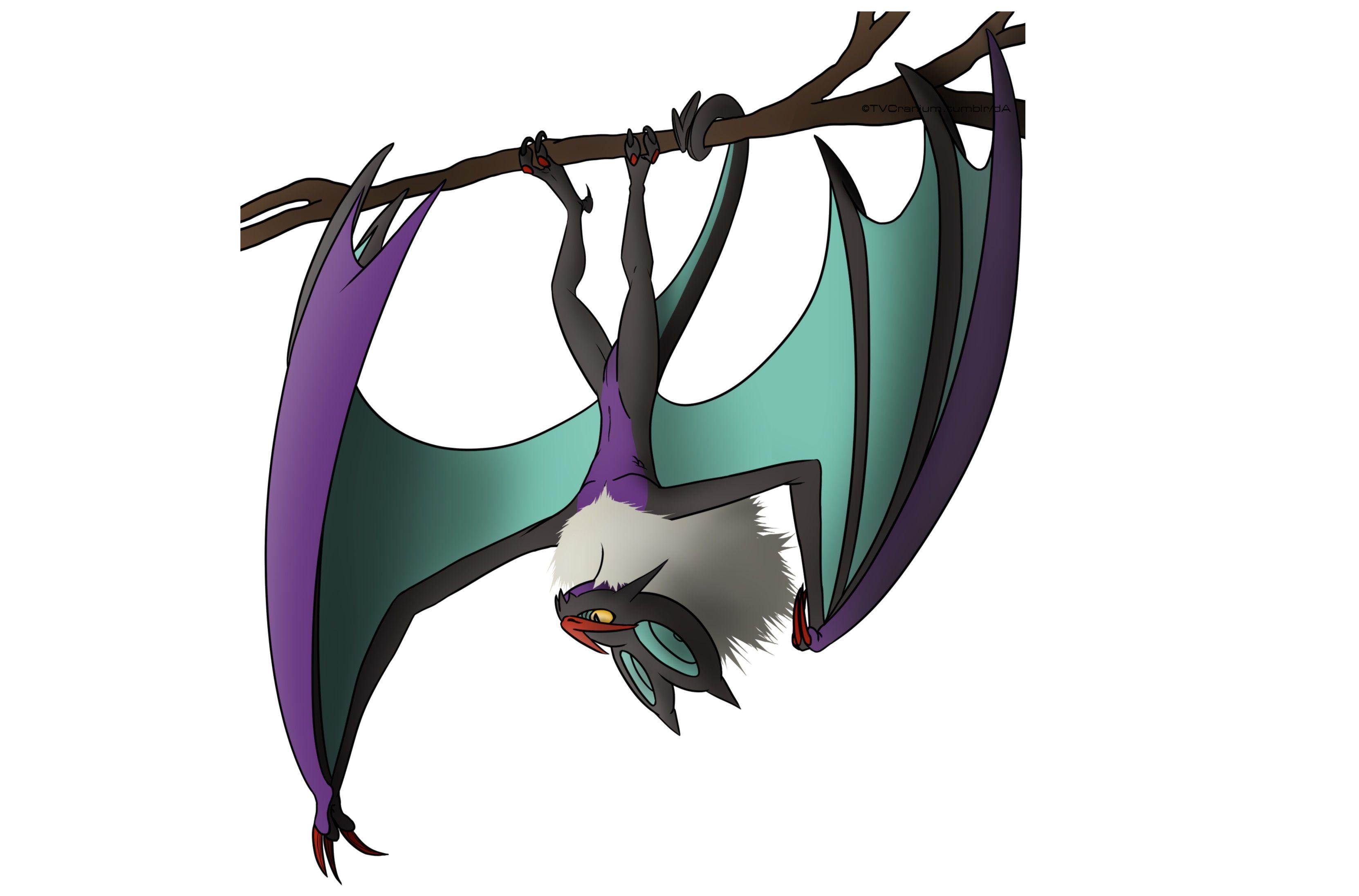 noivern hd wallpapers wallpaper cave on noivern hd wallpapers