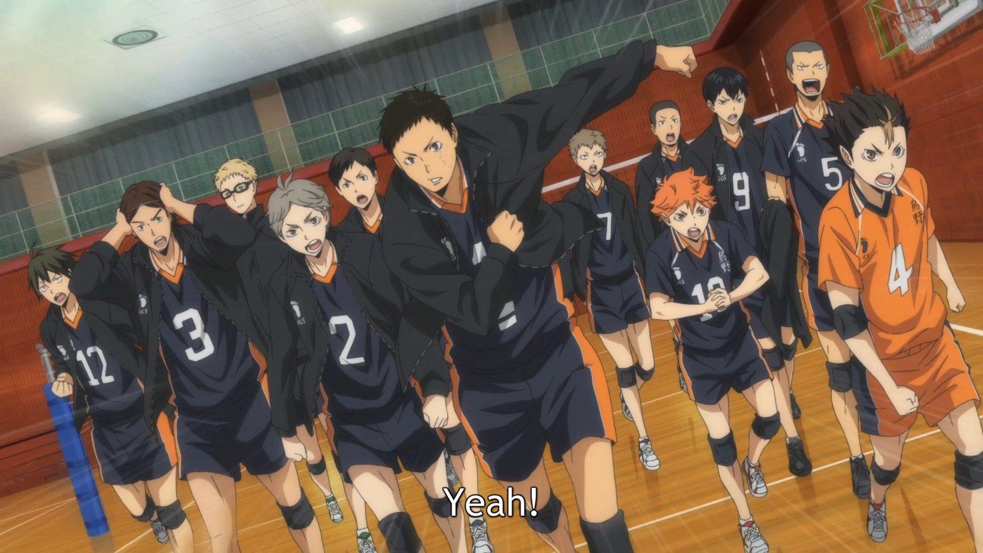 Two birds anime wallpaper, haikyuu!!, karasuno, shiratorizawa . Karasuno Wallpapers Wallpaper Cave