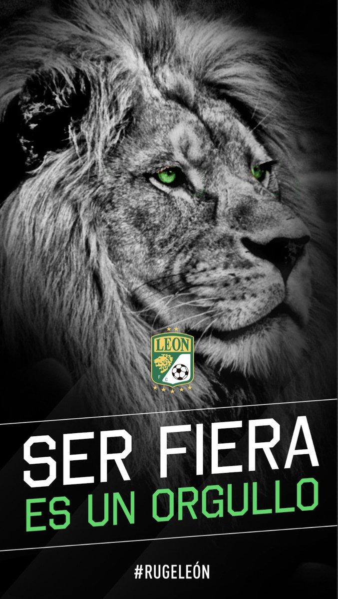 Club Leon Wallpapers Wallpaper Cave