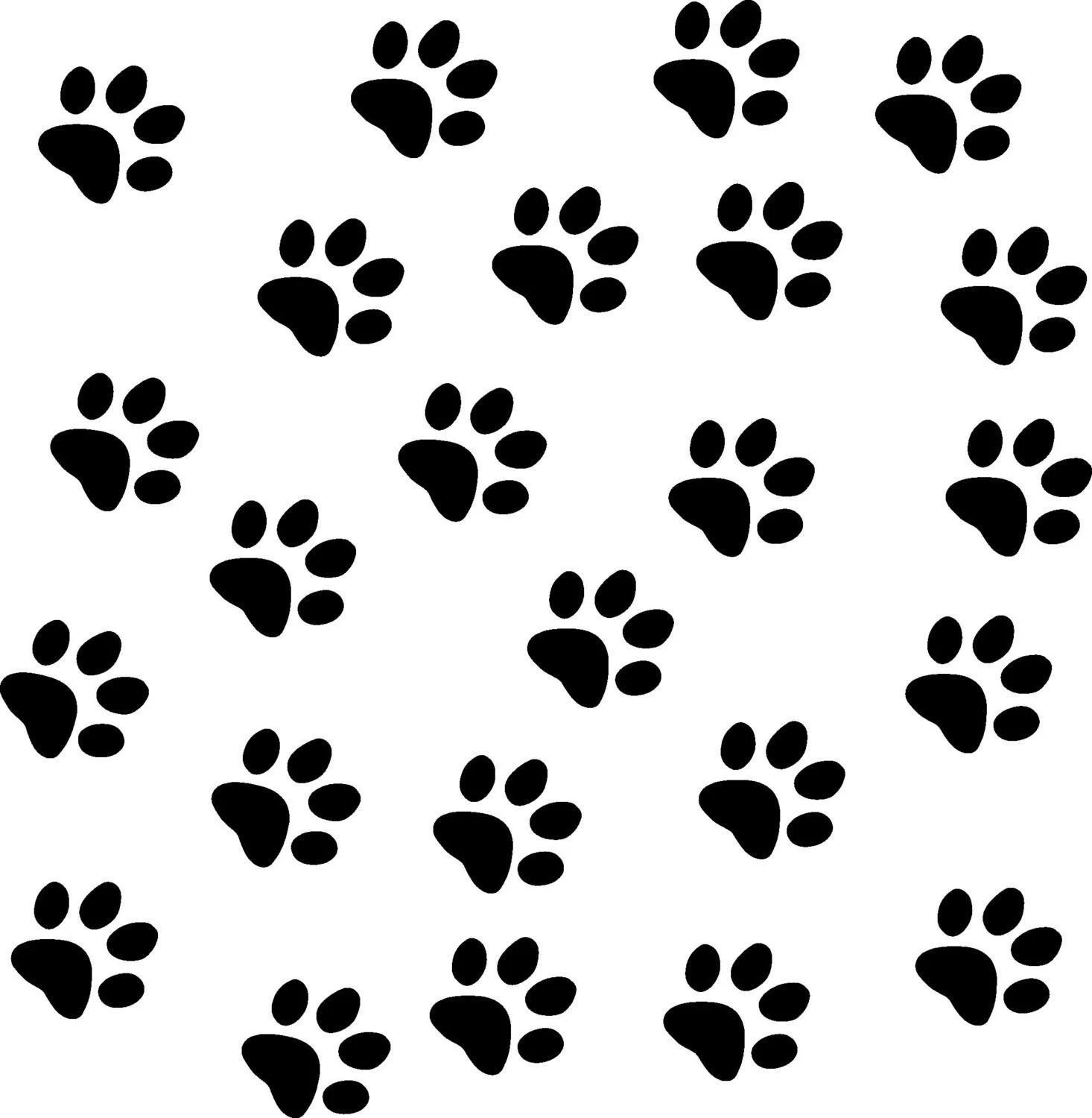 How to get a cat s paw print at debra madden blog