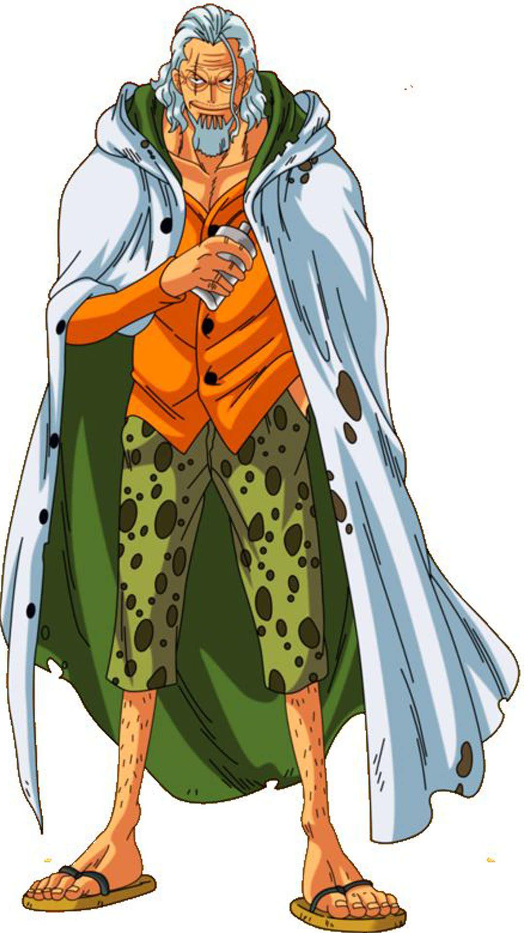 one piece rayleigh wallpapers wallpaper cave on one piece rayleigh wallpapers