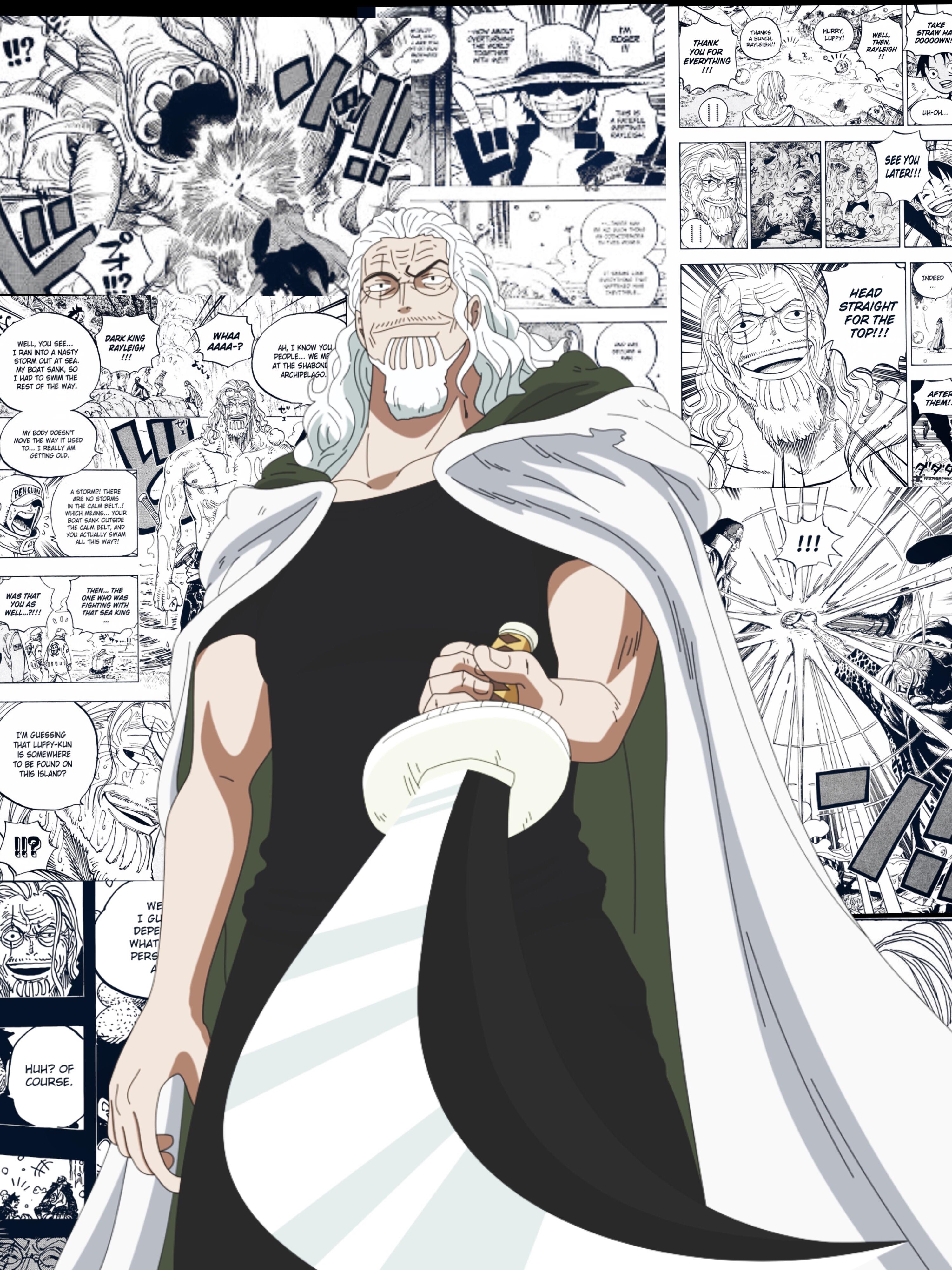 One Piece Rayleigh Wallpapers Wallpaper Cave