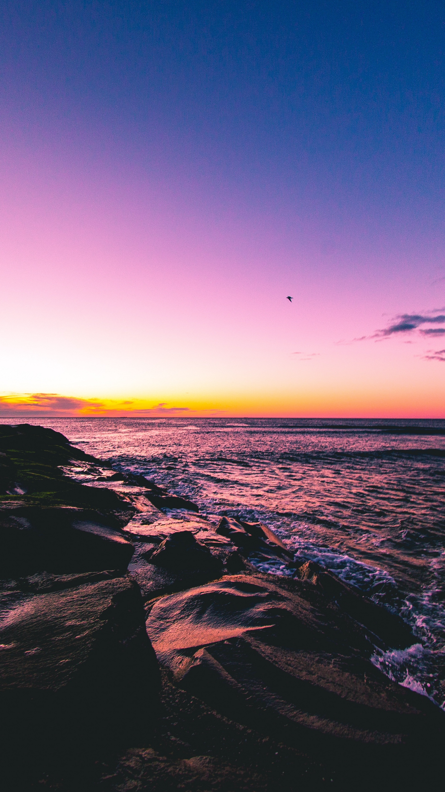 The best quality and size only with us! Sunset At The Beach Wallpapers Wallpaper Cave