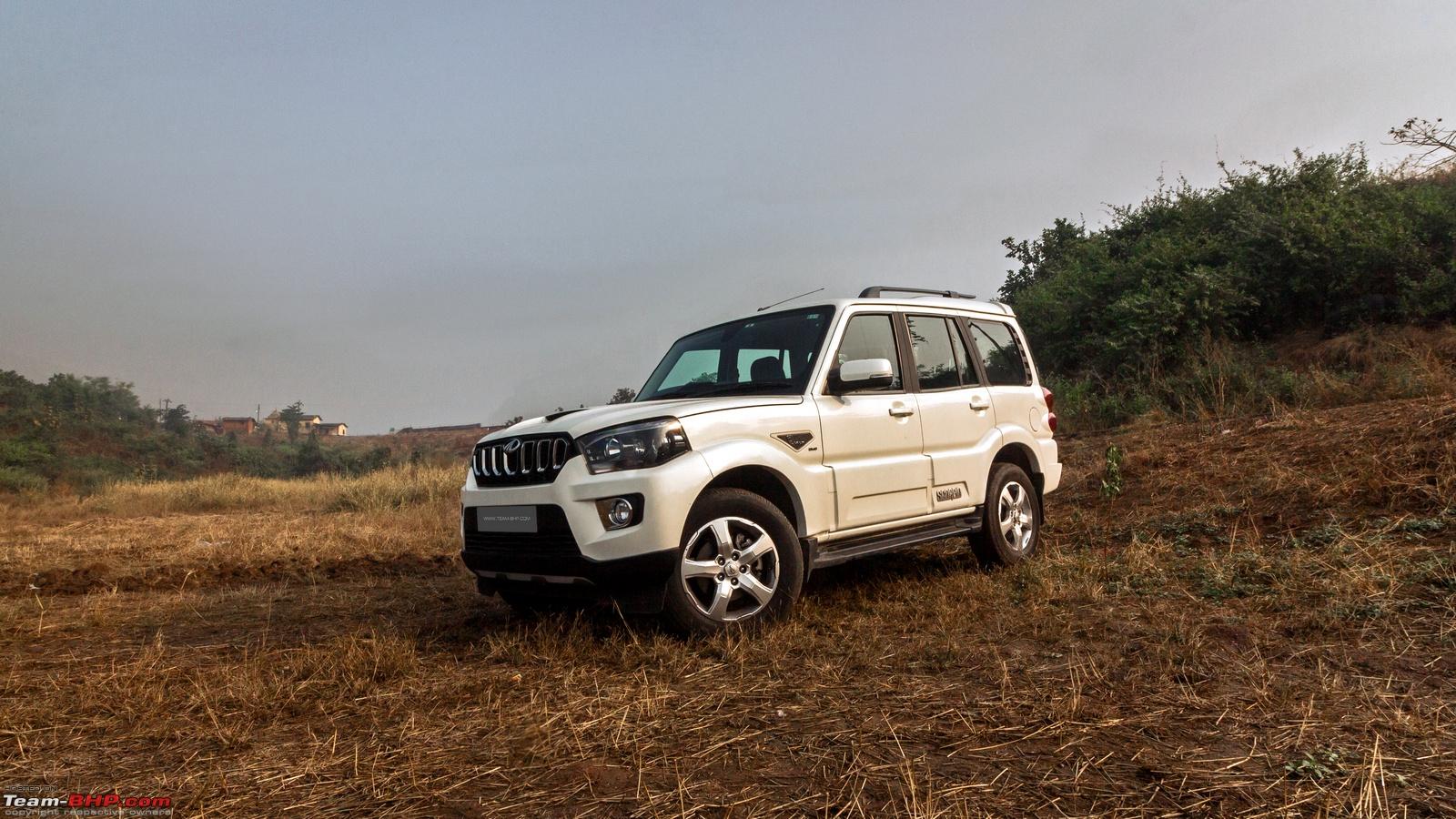 Adorable pics of baby animals bring instant happiness. Mahindra Scorpio S11 Wallpapers Wallpaper Cave