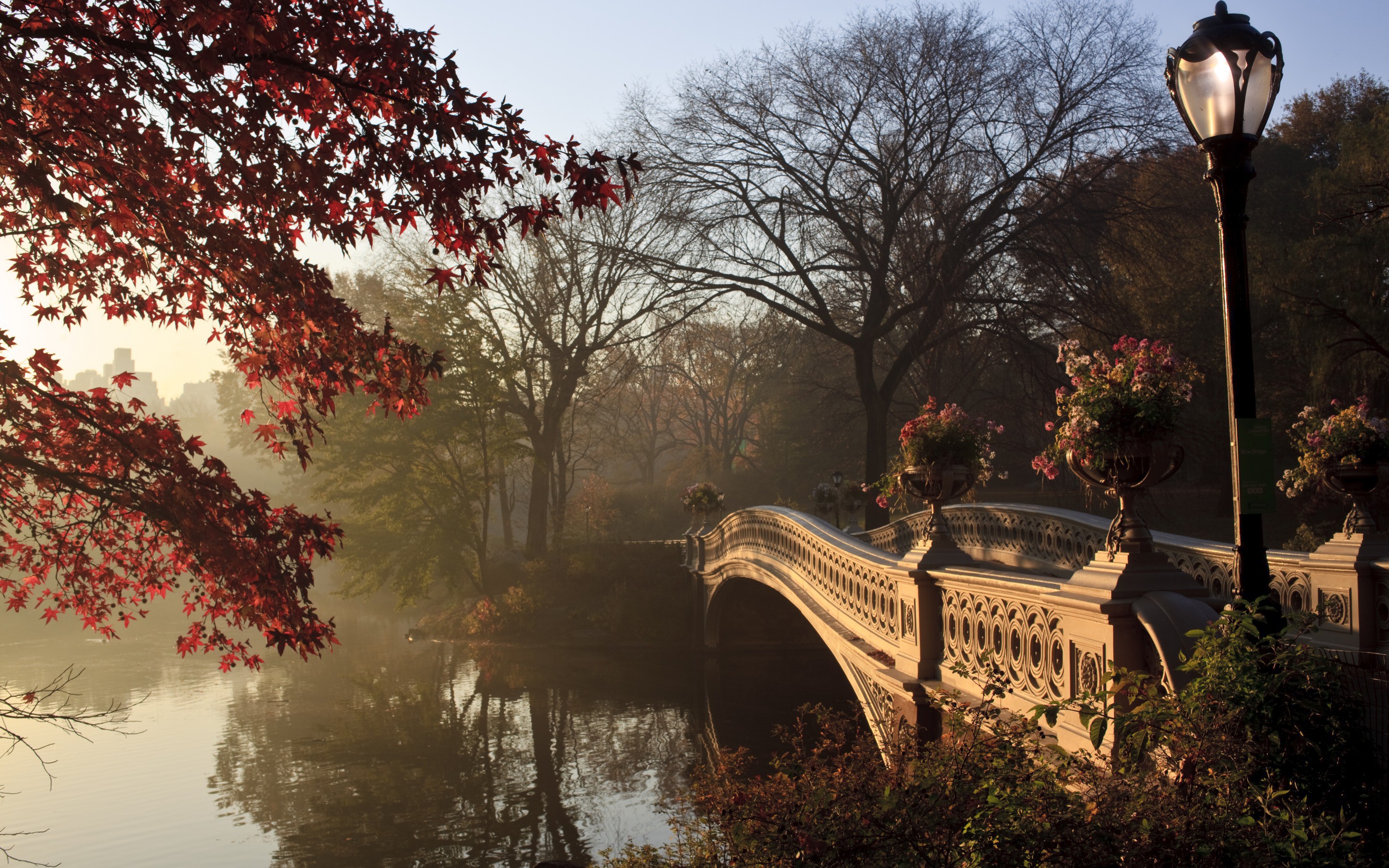 Gratis Scarica immagini Autumn Central Park New York Wallpapers Wallpaper Cave il piu cool da parte di