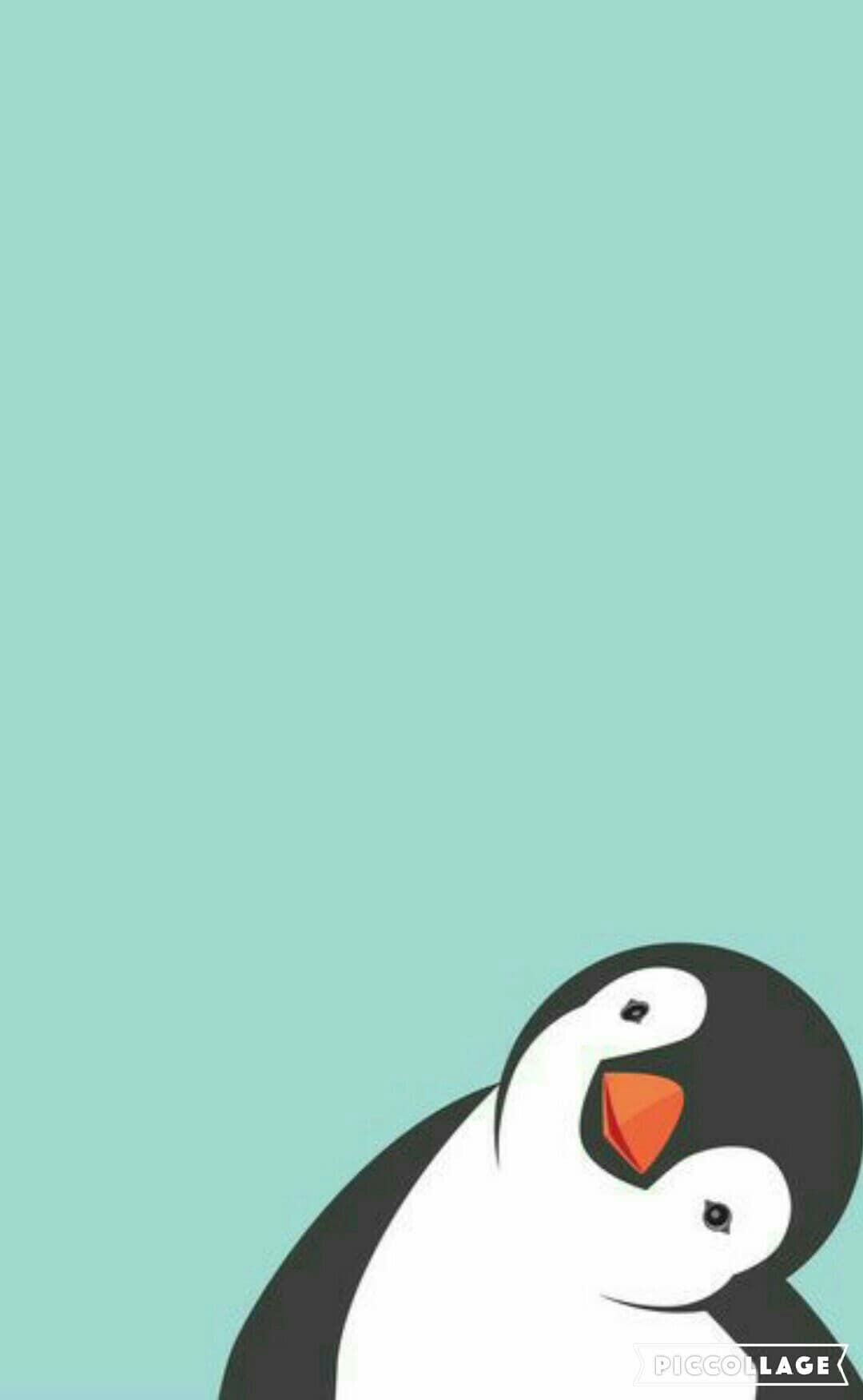 Penguin wallpapers and background images for all your devices. Cartoon Penguin Wallpapers Wallpaper Cave