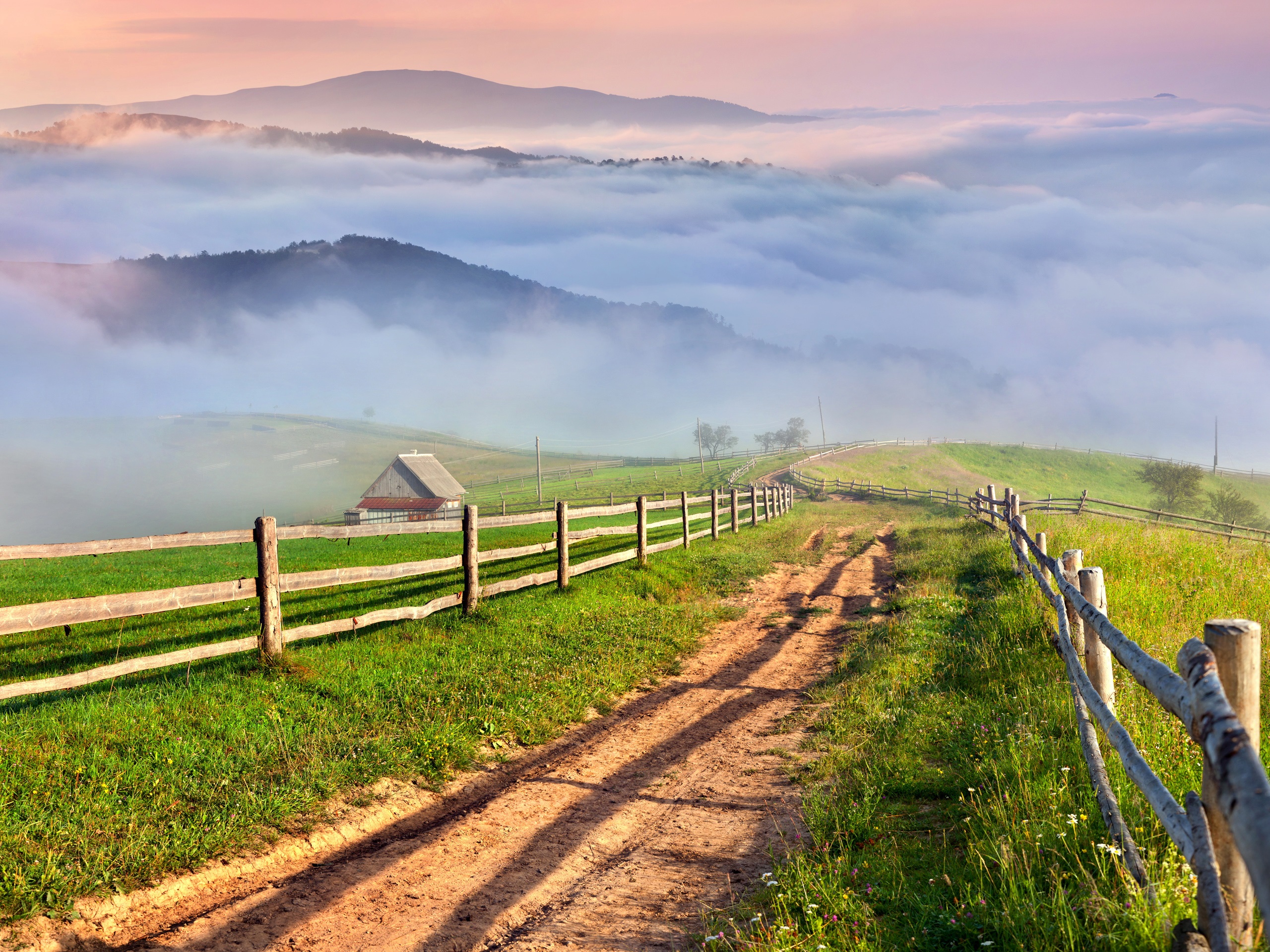 Countryside grass fields scenery wallpapers