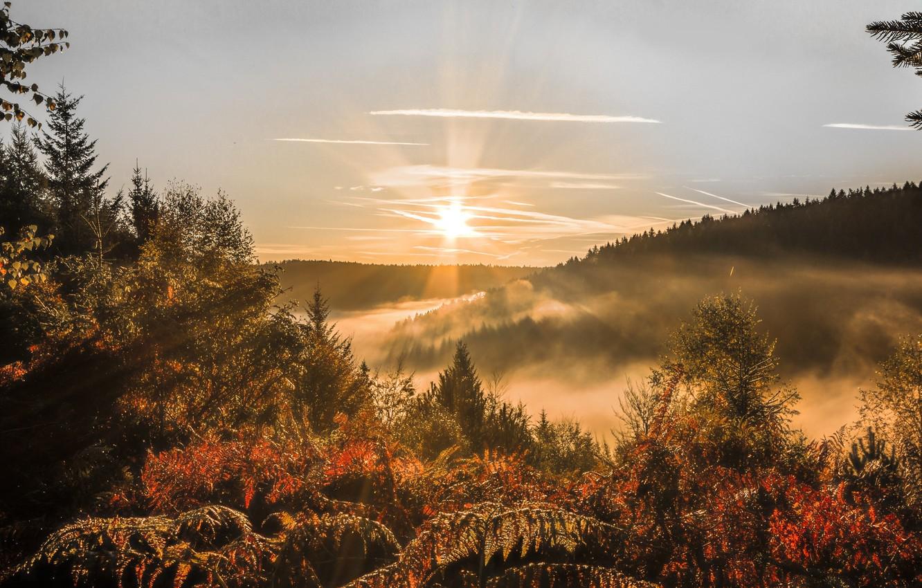 forest sun rays wallpapers wallpaper cave on autumn sun rays wallpapers