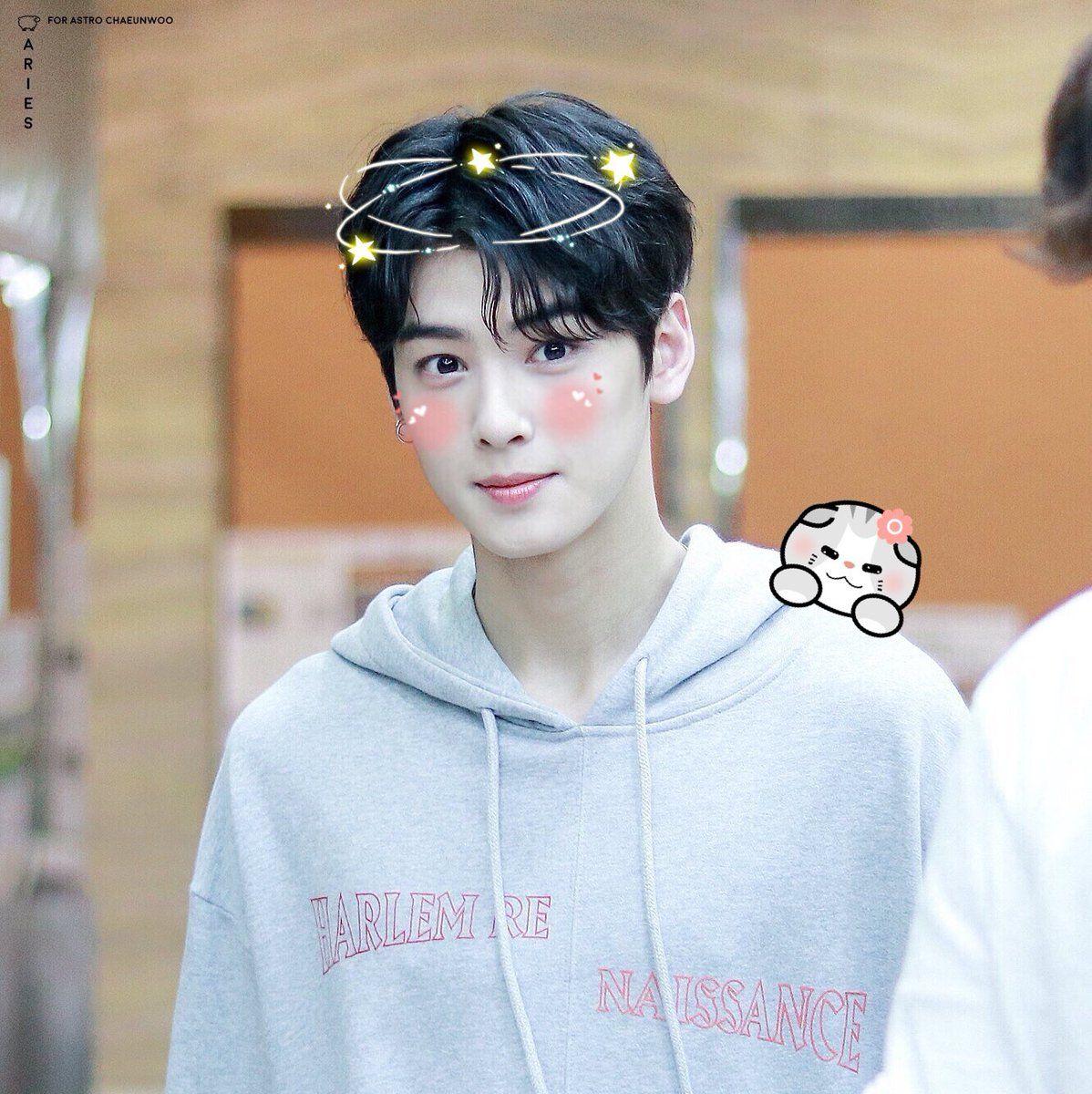 Gratis Download Gambar Eunwoo Eunwoo Astro Aesthetic Soft Icons Pacar Pria Aktor Terkeren by Lampunghits.com