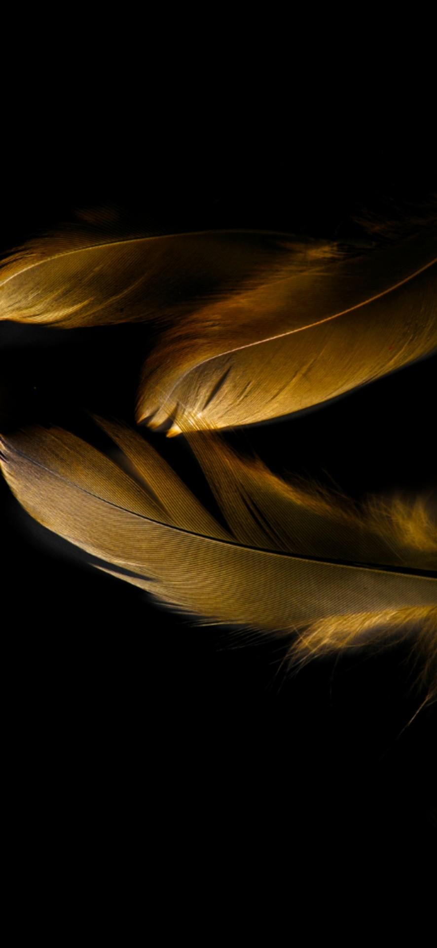 As usual we try to come up with the latest stock wallpaper from any new device, today we have shared the huawei mate 20 rs porsche design . Huawei Y6 Wallpapers - Wallpaper Cave